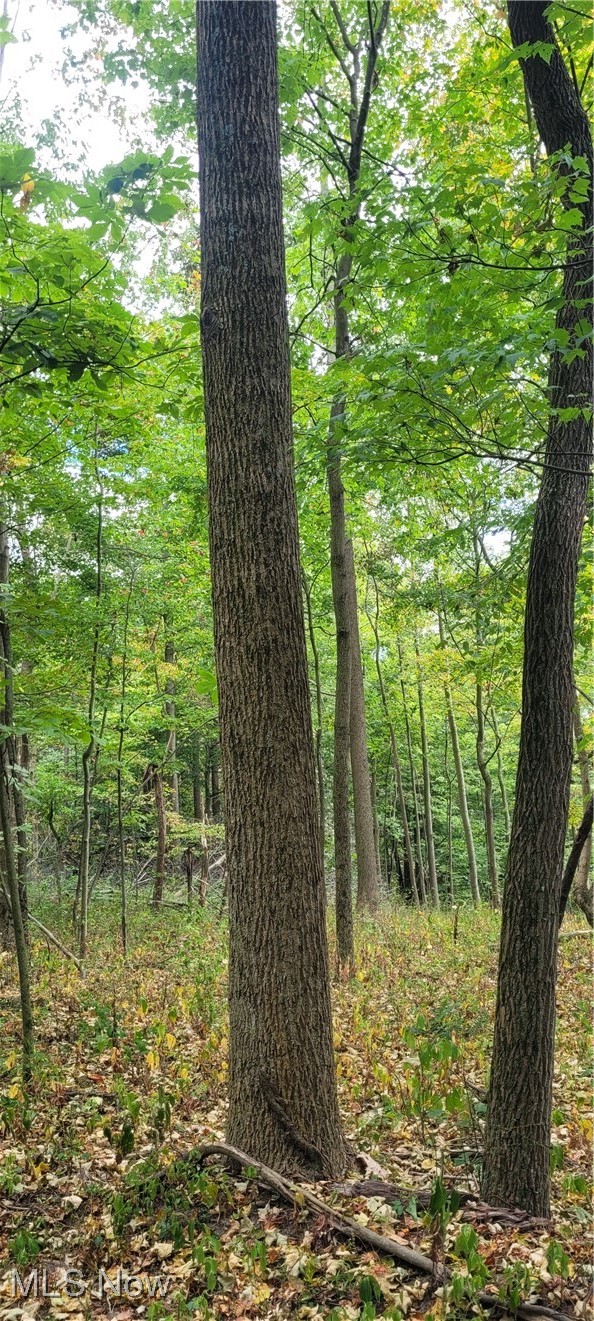 343 County Road Coshocton, OH 43812 - Photo 29 of 49 Gallery Image 29