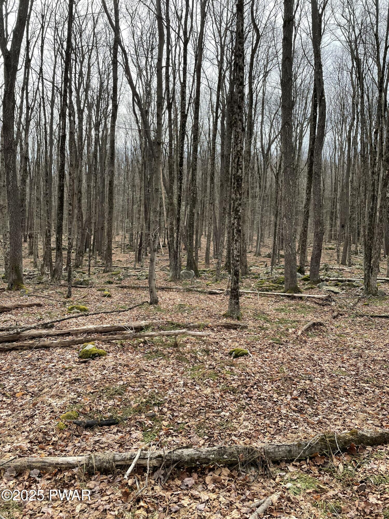 Lot 270 Radcliff Lane Bushkill, PA 18324 - Photo 2 of 10