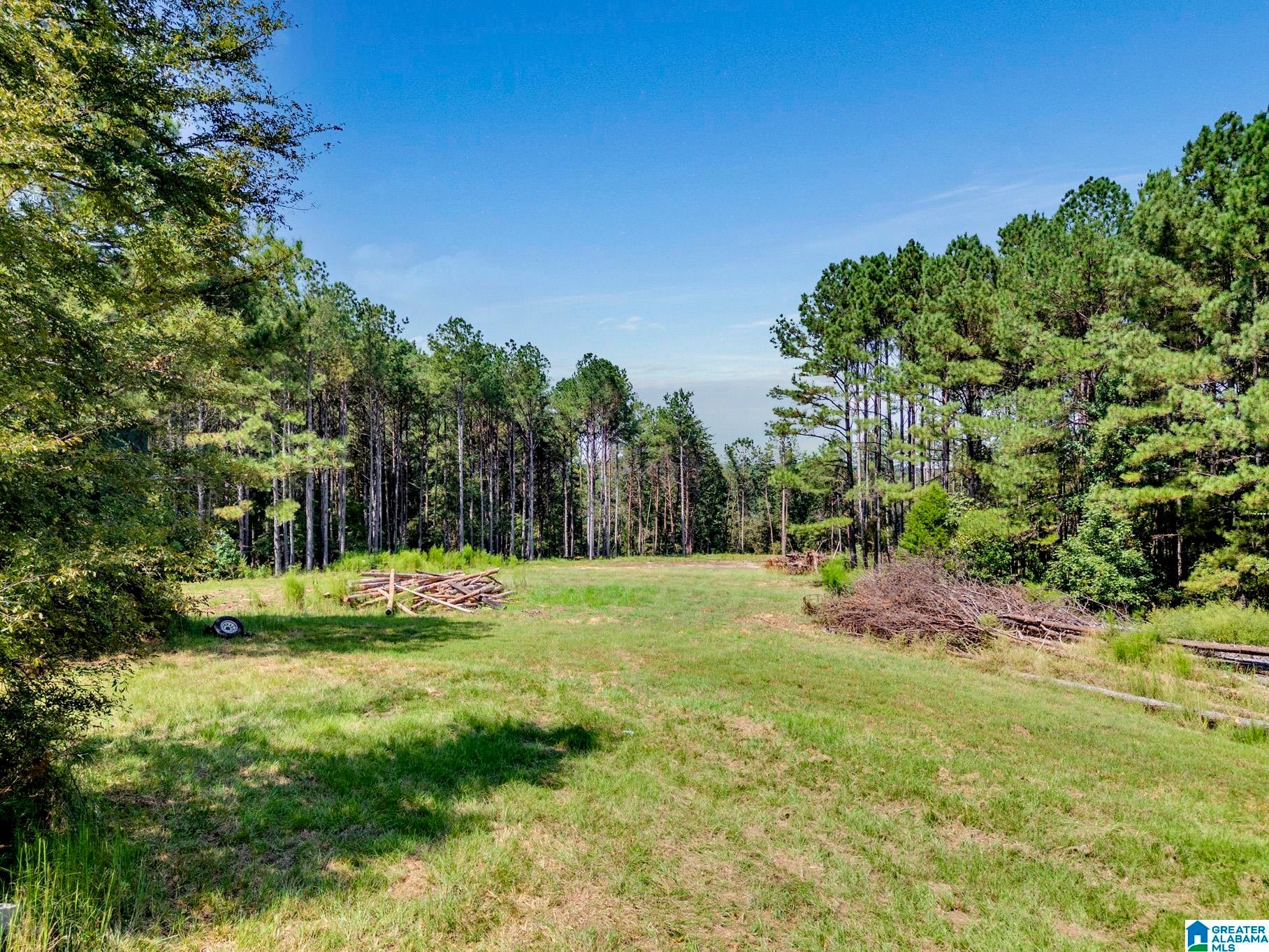 1111 Tim King Road Cleveland, AL 35049 - Photo 23 of 49 Gallery Image 23