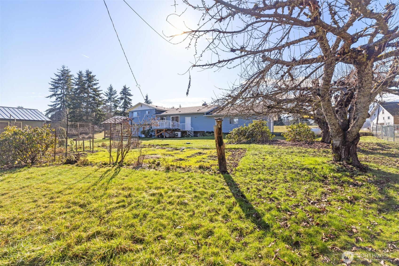 200 Lake Farm Road Port Angeles, WA 98362 - Photo 6 of 40 a view of yard with large trees