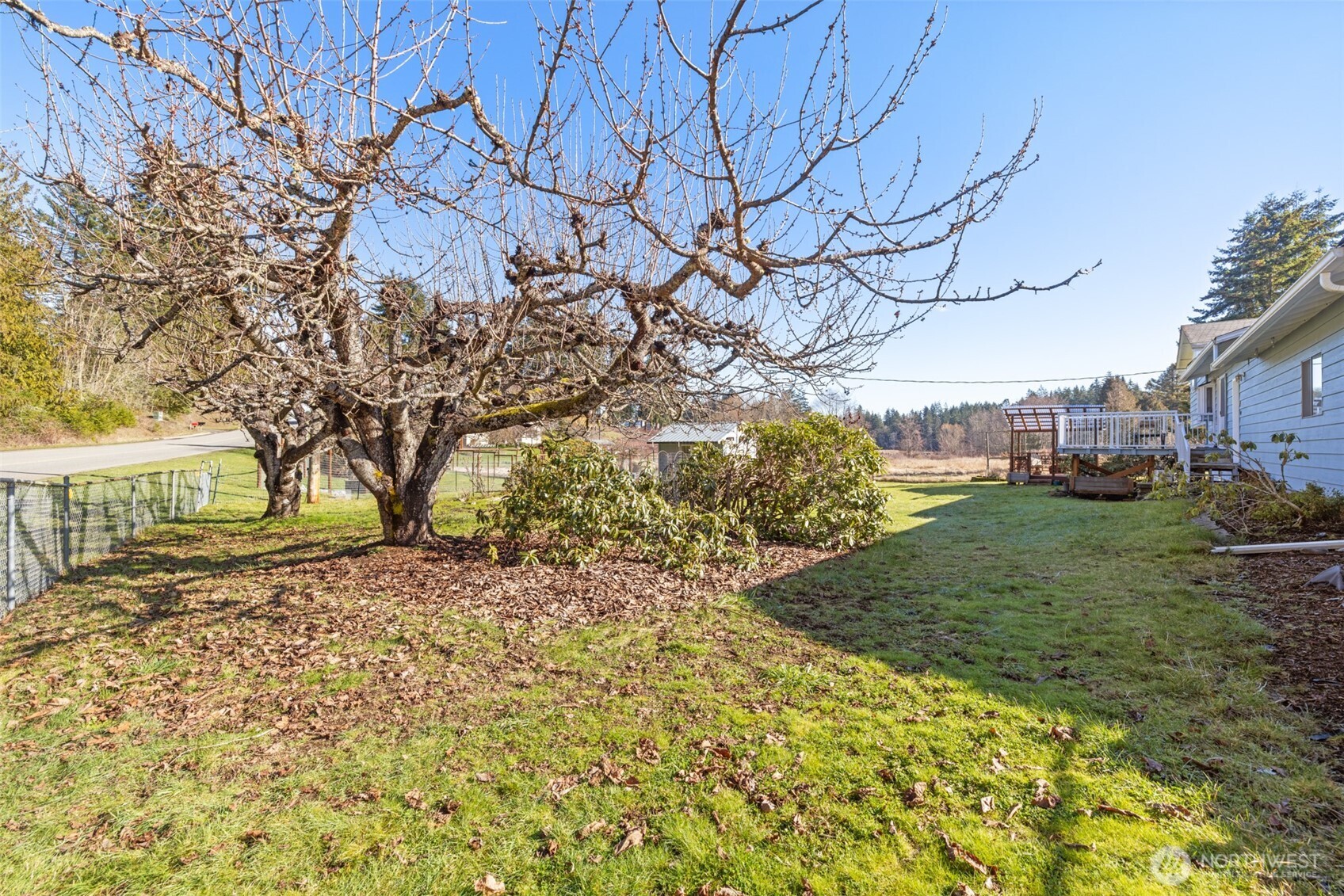 200 Lake Farm Road Port Angeles, WA 98362 - Photo 7 of 40 a view of a yard with plants and trees