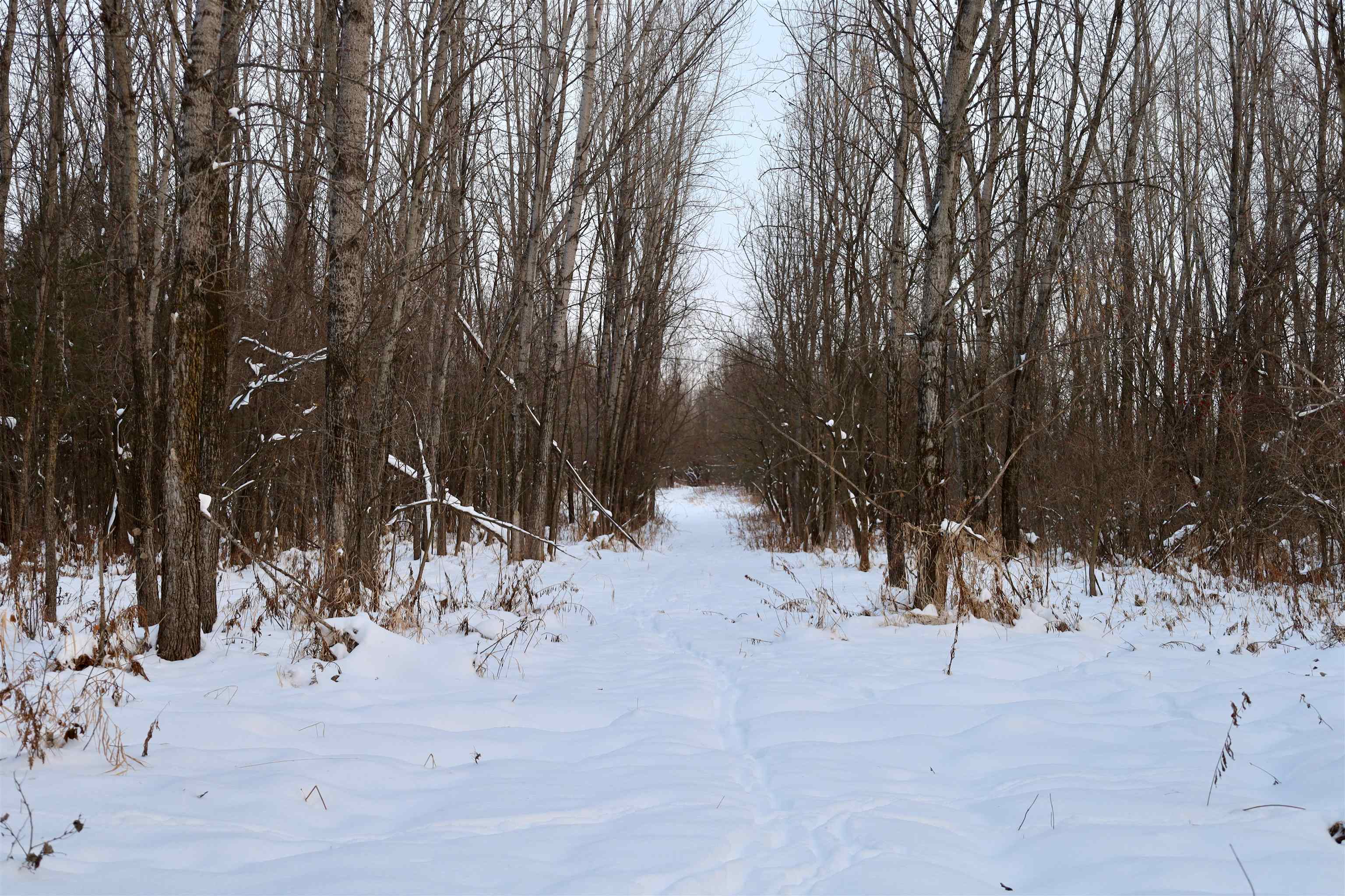 Tbd County Rd JJ Appleton, WI 54913 - Photo 26 of 45
