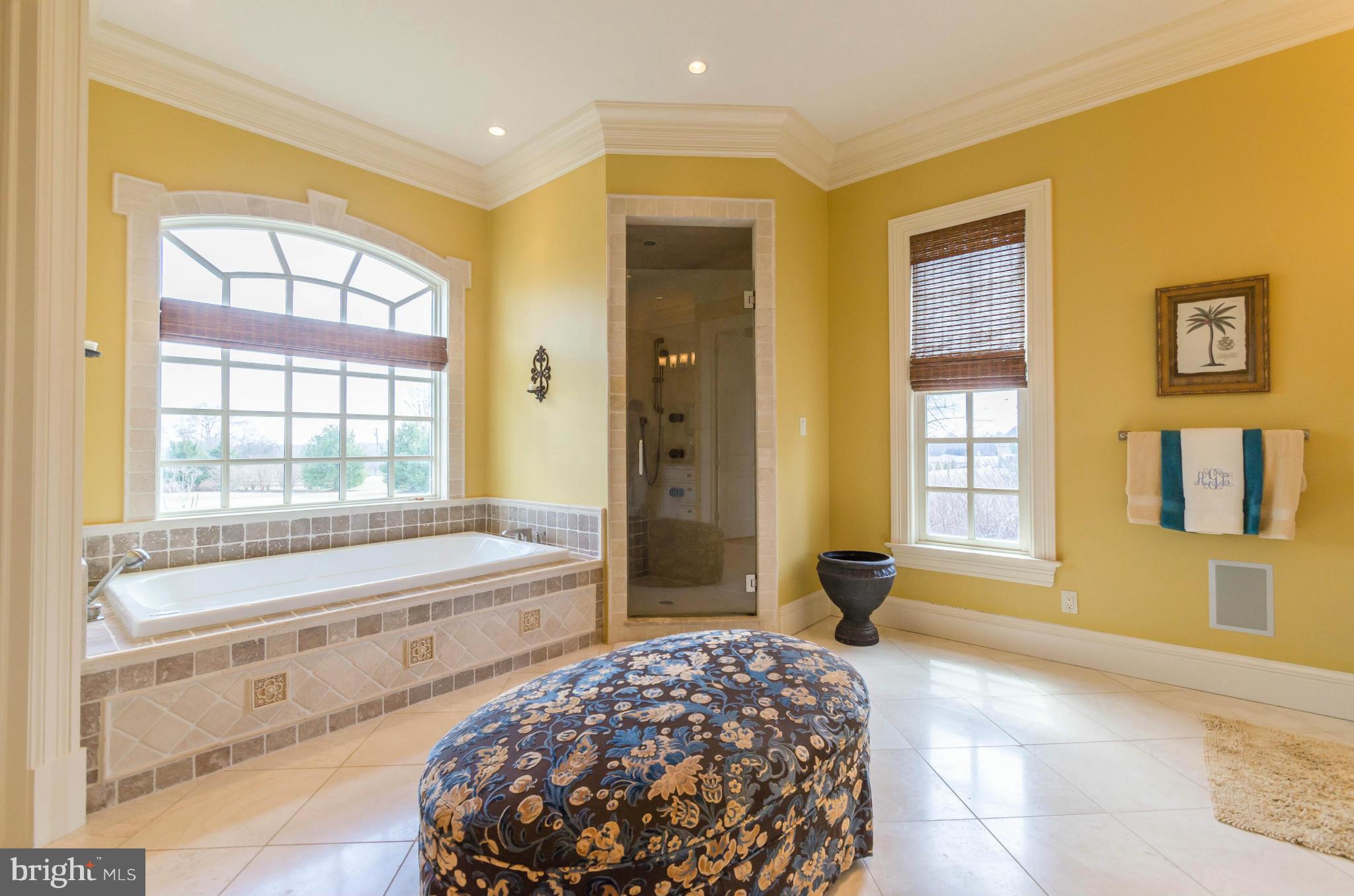 15535 Old York Road Monkton, MD 21111 - Photo 18 of 30 Bath (Master)