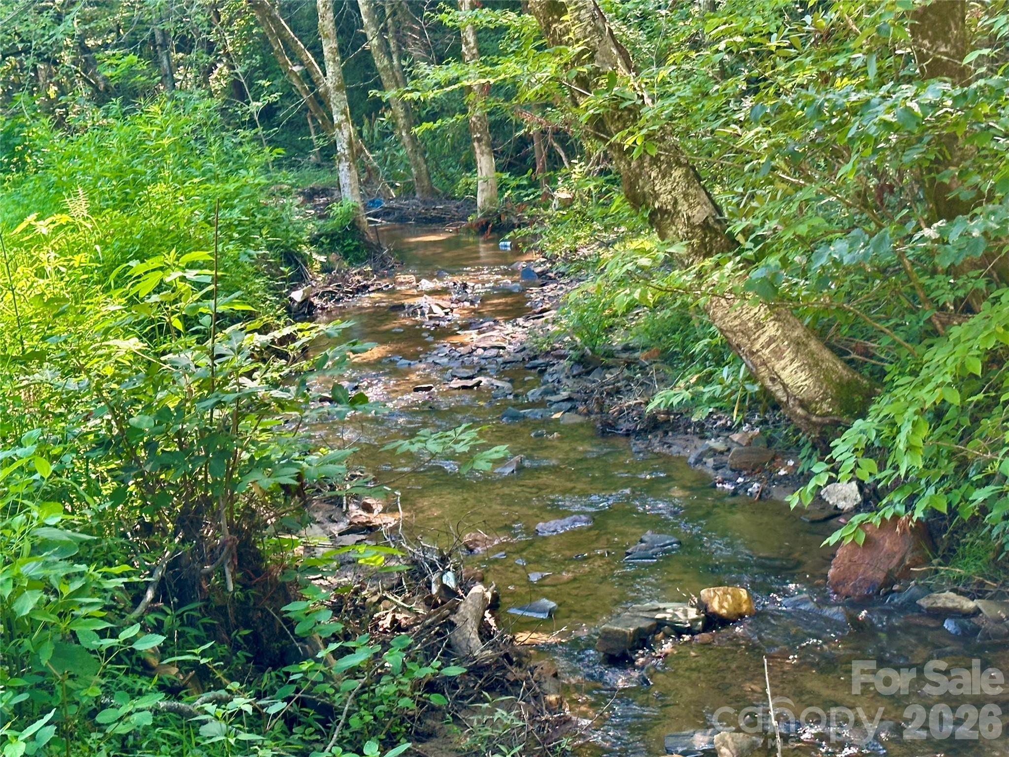 492 Chestnut Mountain Road Spruce Pine, NC 28777 - Photo 20 of 23