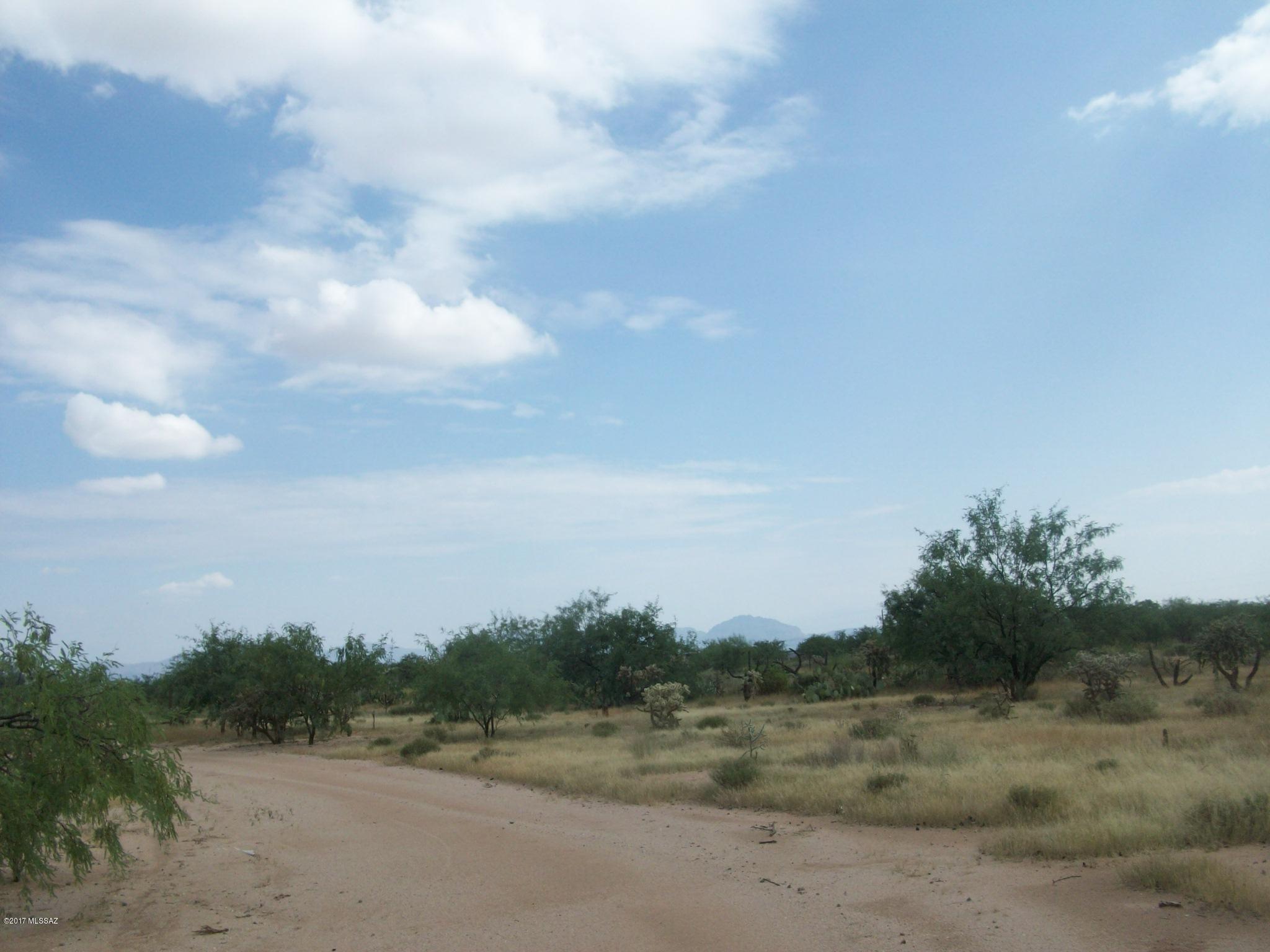 8870 South Marstellar Road Tucson, AZ 85736 - Photo 3 of 7 Gallery Image 3