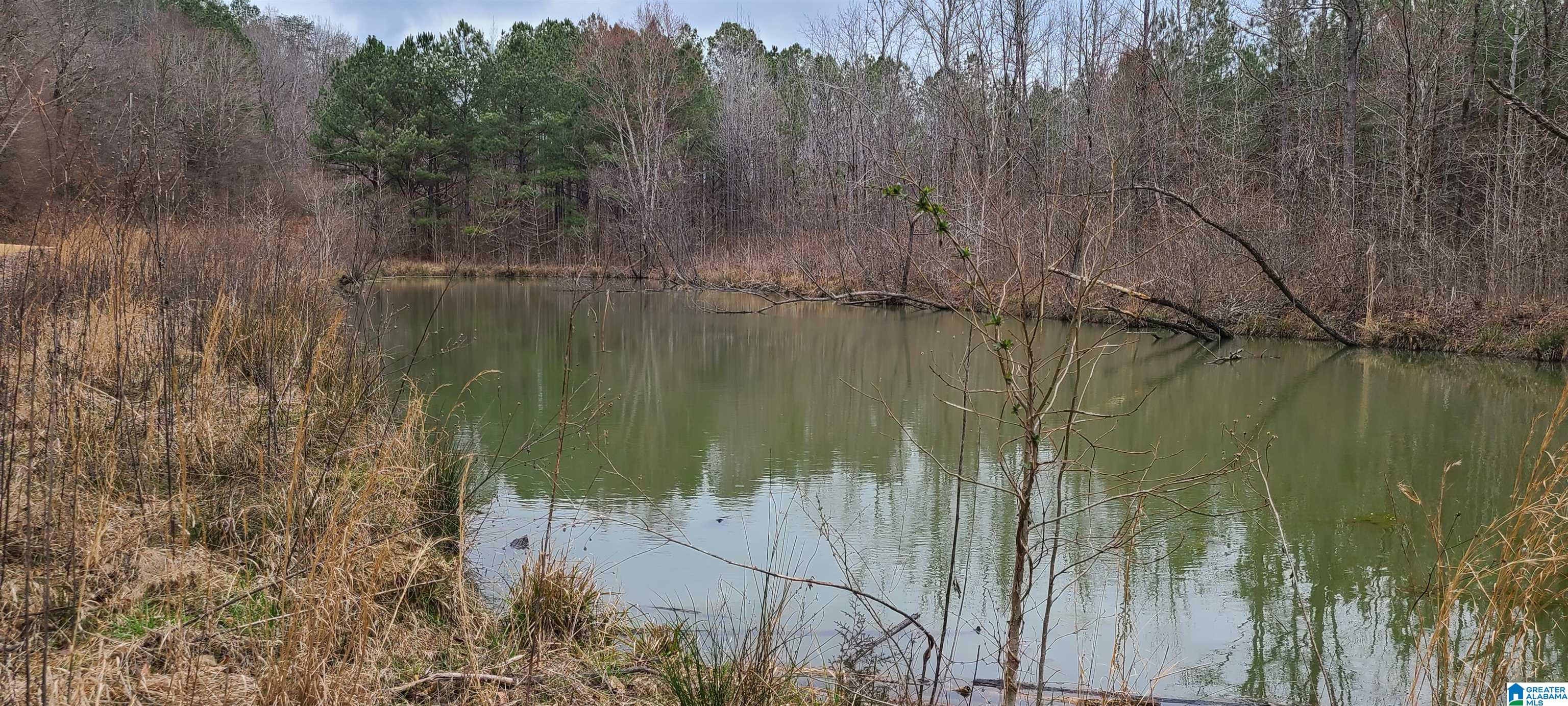 0 Wolf Creek Road Carbon Hill, AL 35549 - Photo 24 of 29
