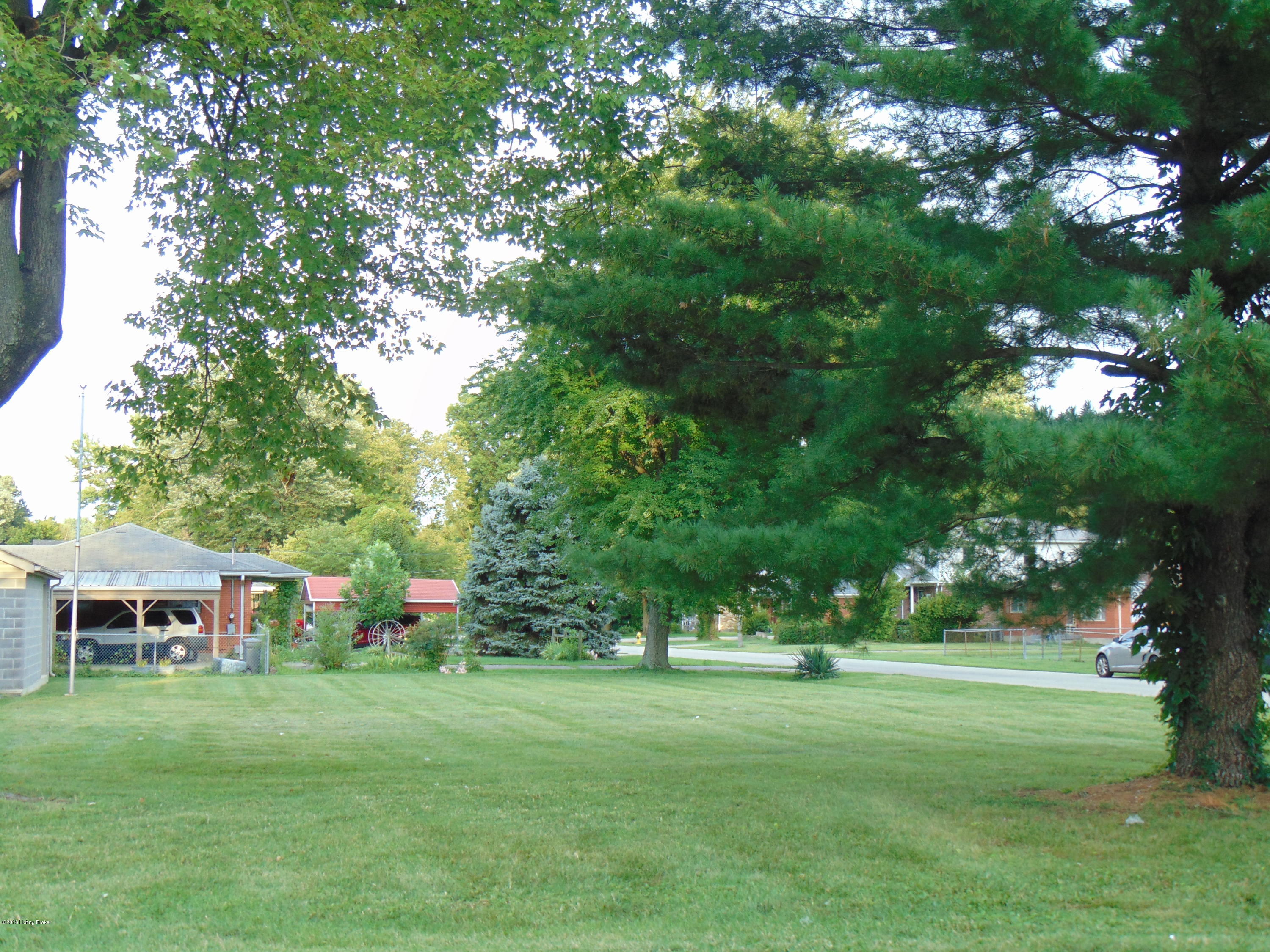 4741 Dover Road Louisville, KY 40216 - Photo 20 of 21 Side Yard