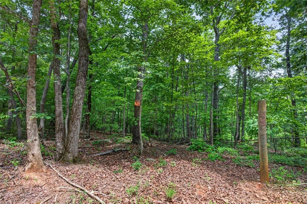 2022 Pleasant Union Road Canton, GA 30114 - Photo 6 of 17