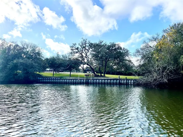 a view of a lake with a large trees