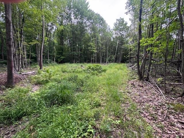 240701 Sawmill Road Wausau, WI 54403 - Photo 11 of 22 Gallery Image 11