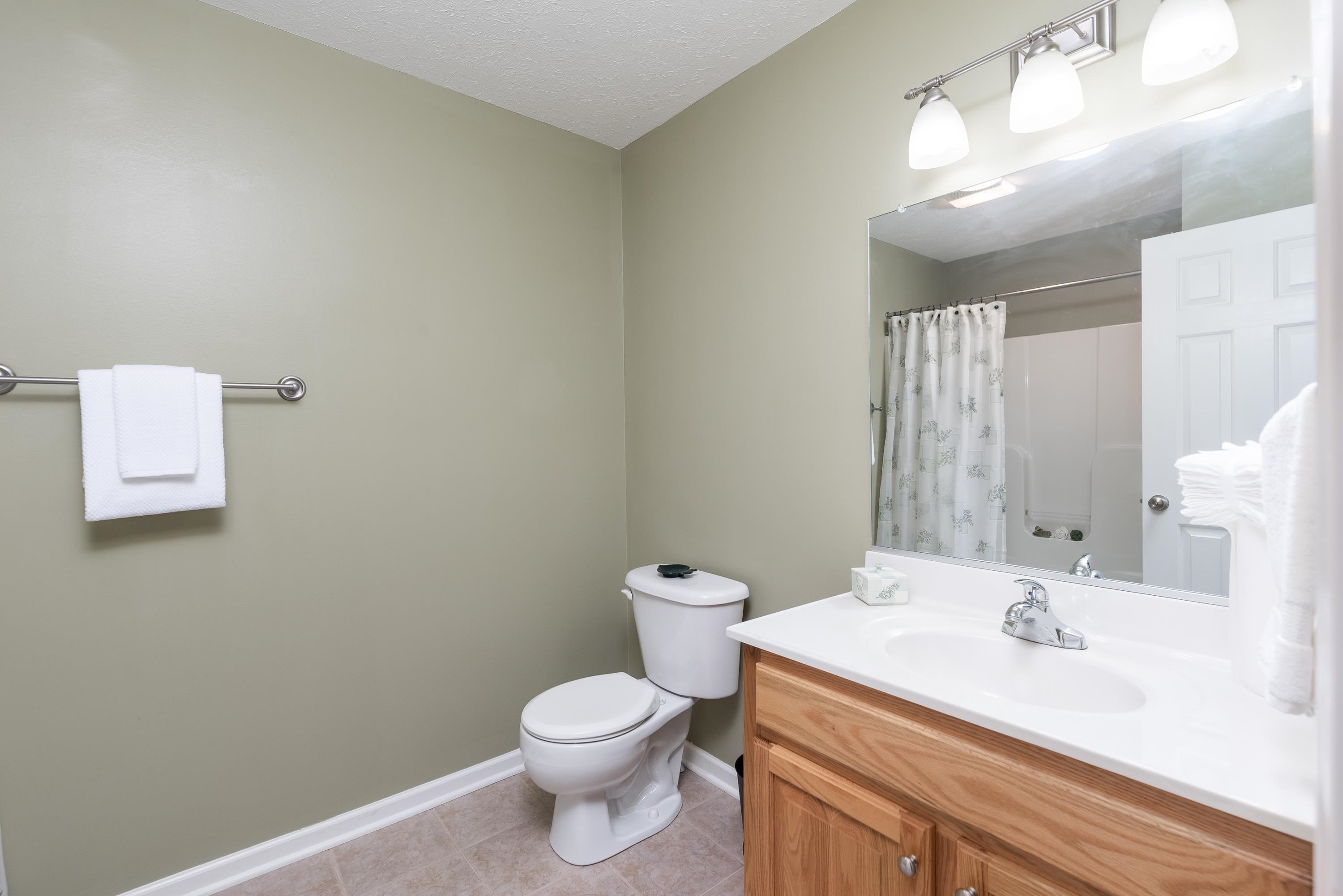 3934 Shutterlee Mill Road Staunton, VA 24401 - Photo 32 of 49 a bathroom with a sink a toilet and mirror