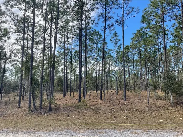 $15,000 | 133 Avenue Se Avenue Southeast, Dunnellon, FL 34431