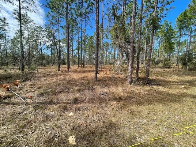 $15,000 | 133 Avenue Se Avenue Southeast, Dunnellon, FL 34431