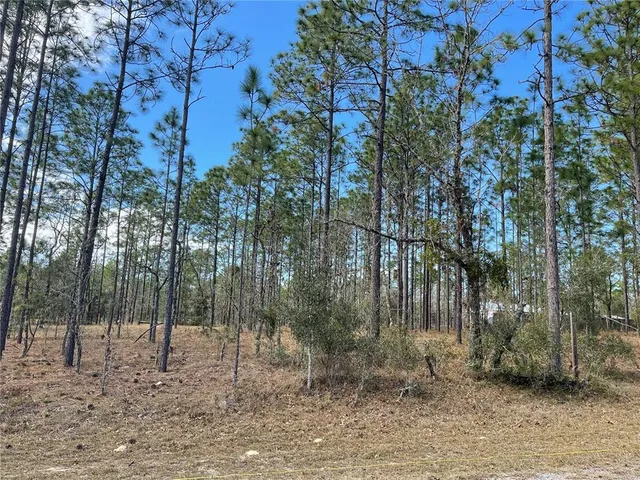 $15,000 | 133 Avenue Se Avenue Southeast, Dunnellon, FL 34431