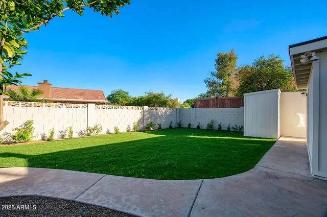 a view of a backyard with a garden and plants