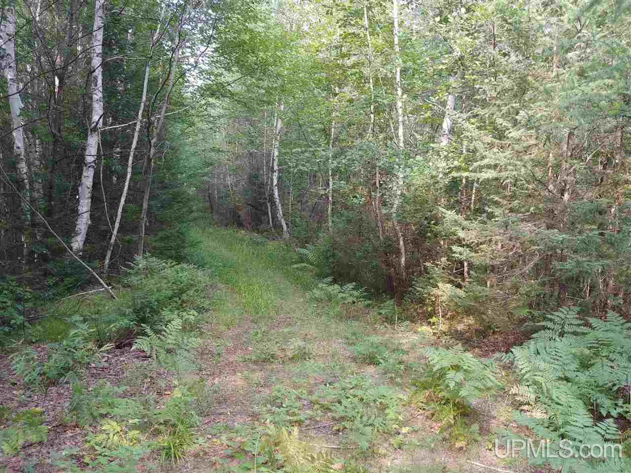 42-acres 42-acres Co Road Ishpeming, MI 49849 - Photo 8 of 16