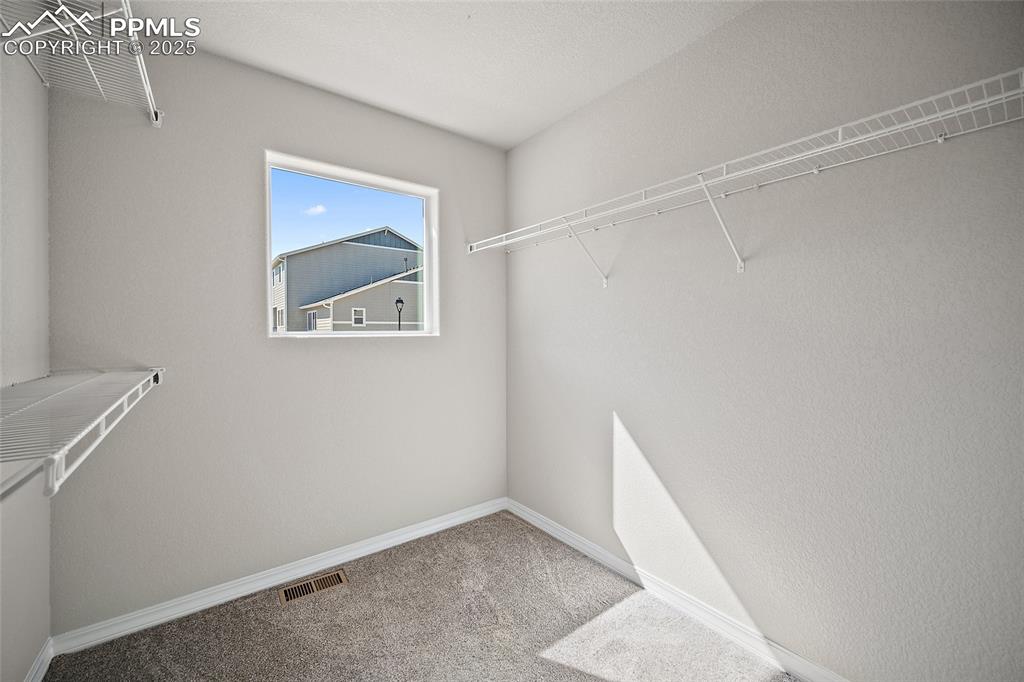 7768 Bone Crk Road Colorado Springs, CO 80924 - Photo 22 of 25 a view of an empty room with a window