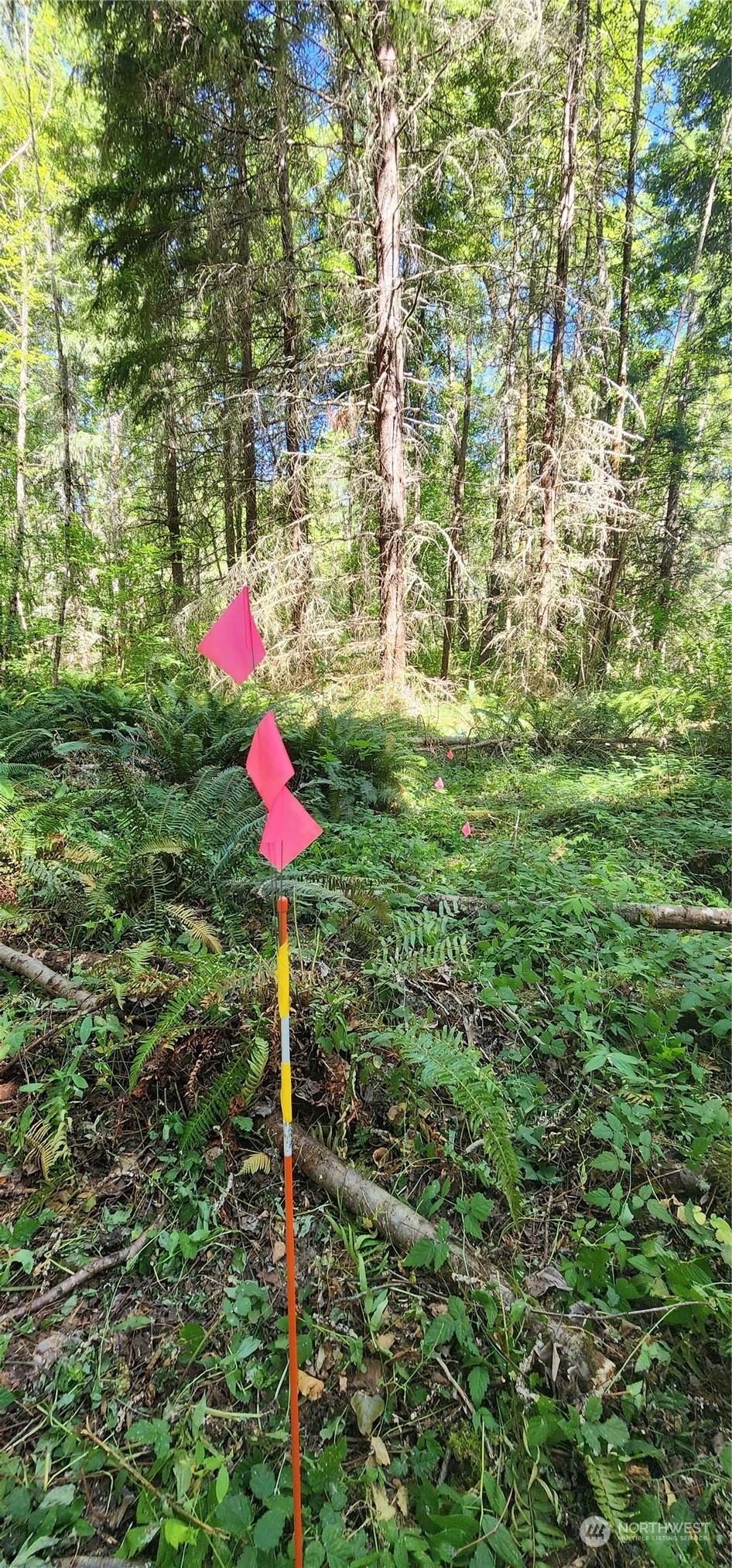 15545 Runyon Road Southeast Rainier, WA 98576 - Photo 13 of 25