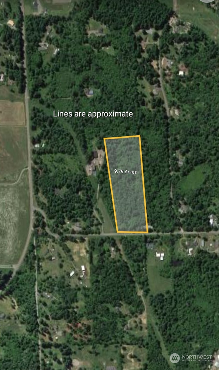 15545 Runyon Road Southeast Rainier, WA 98576 - Photo 23 of 25 a picture of a tree