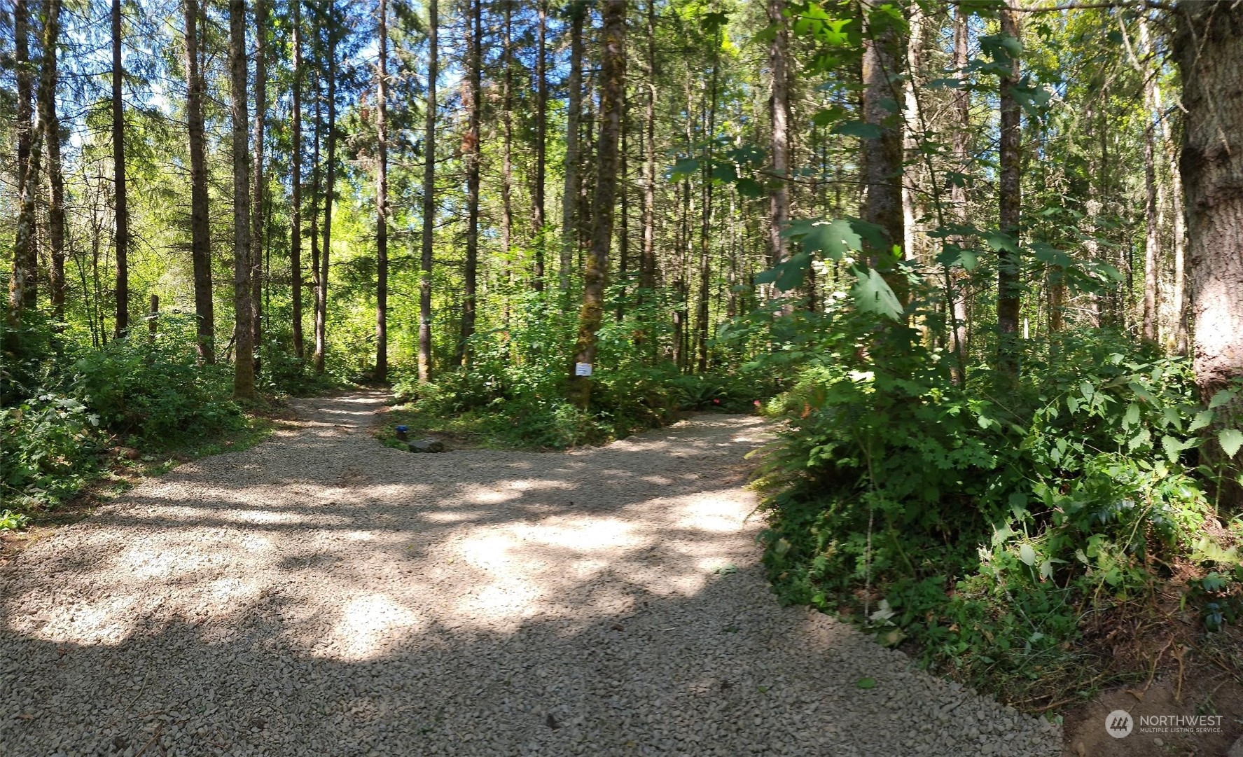 15545 Runyon Road Southeast Rainier, WA 98576 - Photo 3 of 25 a view of backyard with green space