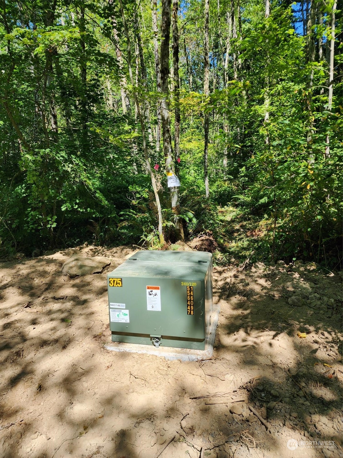 15545 Runyon Road Southeast Rainier, WA 98576 - Photo 4 of 25 a view of a tree with a yard