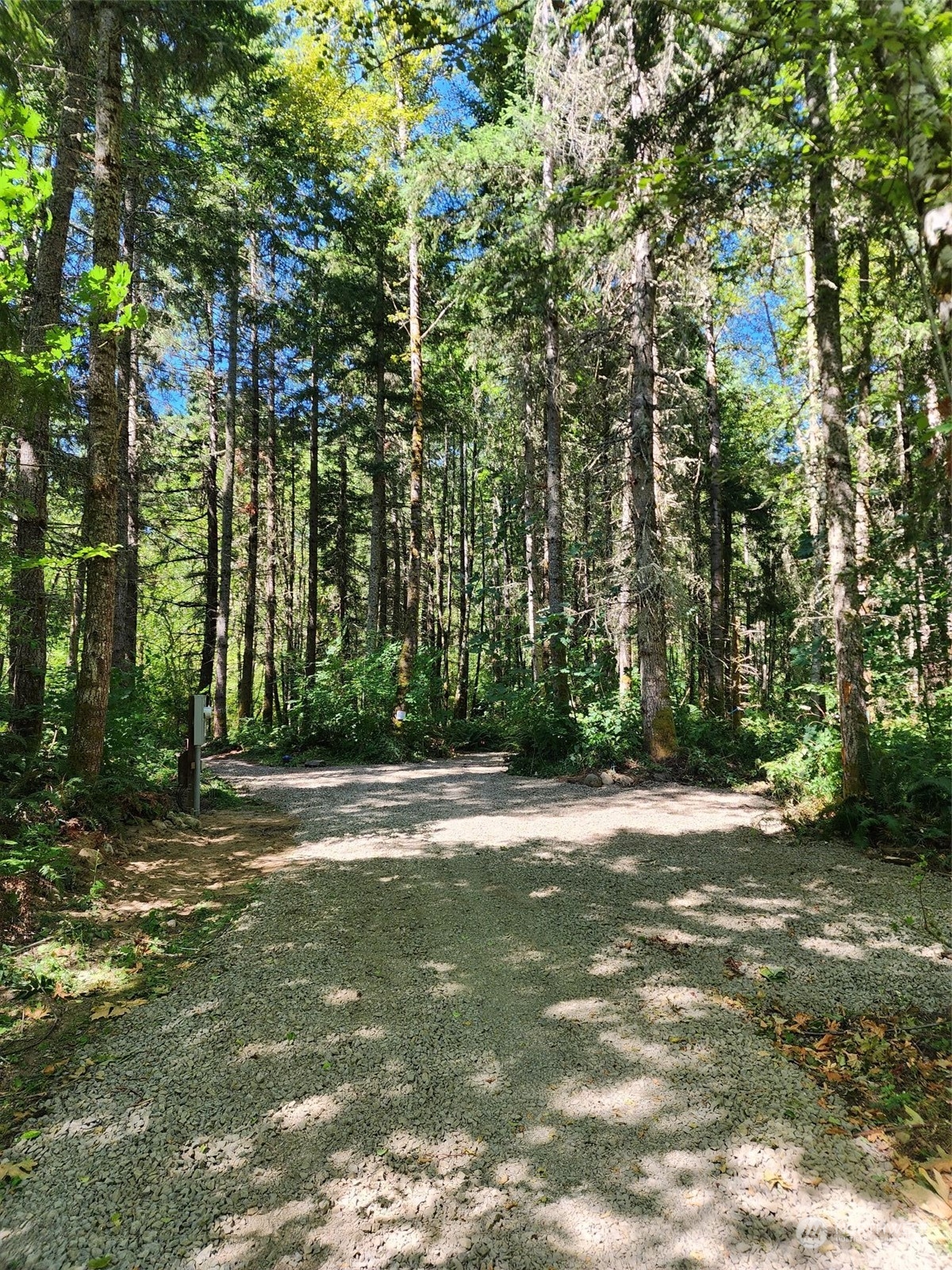 15545 Runyon Road Southeast Rainier, WA 98576 - Photo 5 of 25 a backyard of a house with lots of green space