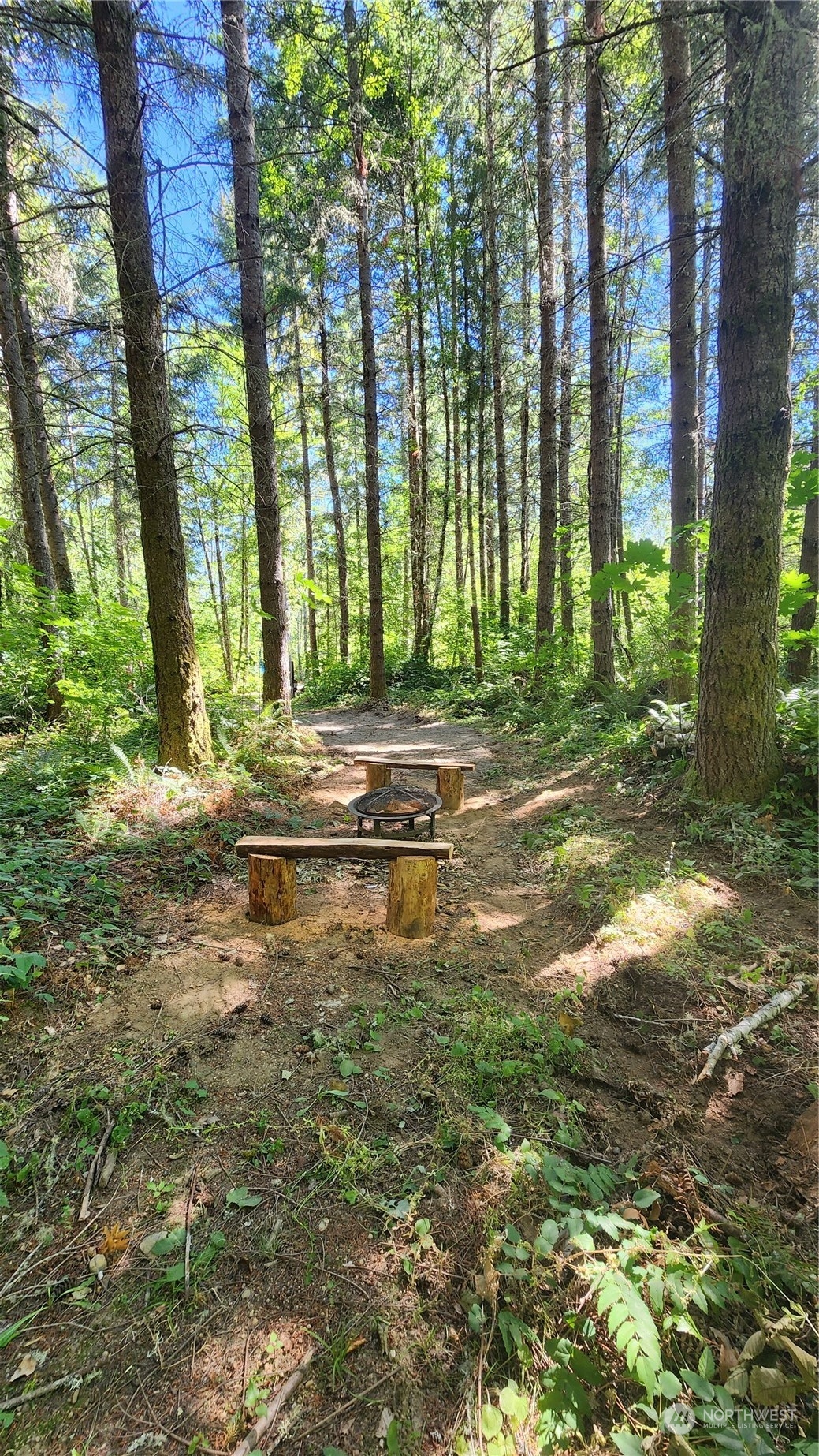 15545 Runyon Road Southeast Rainier, WA 98576 - Photo 10 of 25 a backyard of a house with lots of green space
