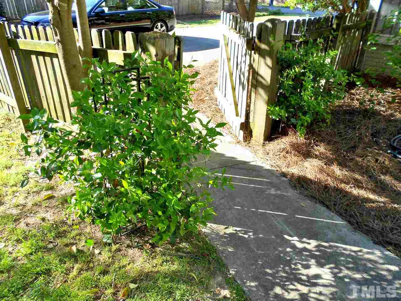 3307 Hall Place Raleigh, NC 27607 - Photo 22 of 24 a view of a garden with pathway
