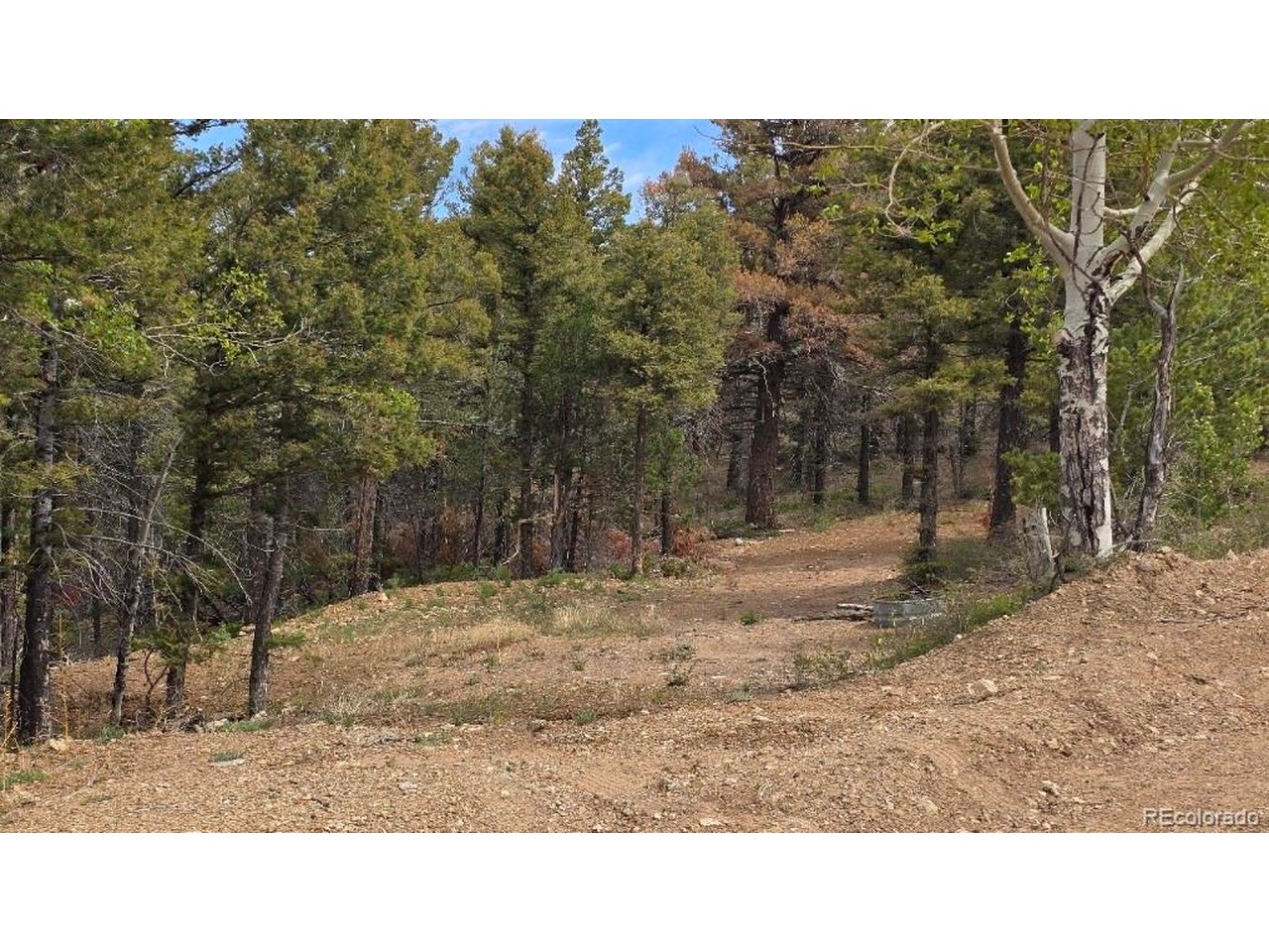 5825 Covington Road San Luis, CO 81152 - Photo 14 of 21 Gallery Image 14