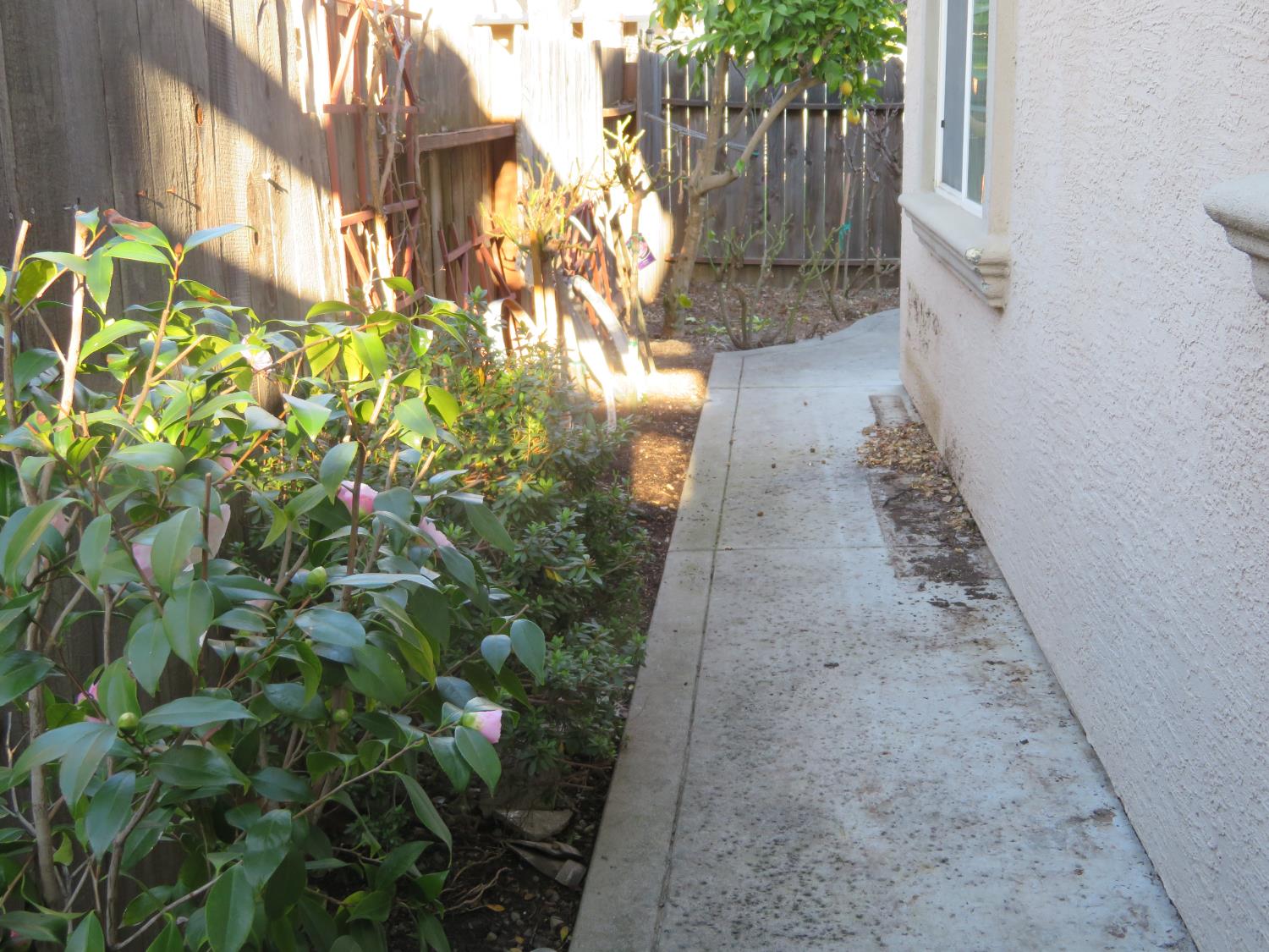 4 Rasha Court Sacramento, CA 95831 - Photo 31 of 33