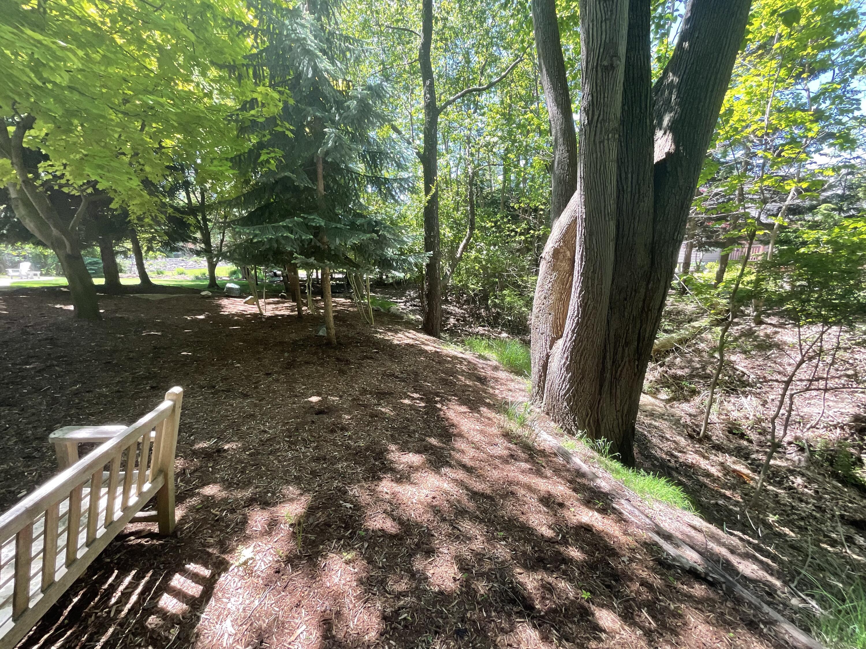72 Wilderness Ridge Drive Douglas, MI 49406 - Photo 10 of 46 IMG_2468
