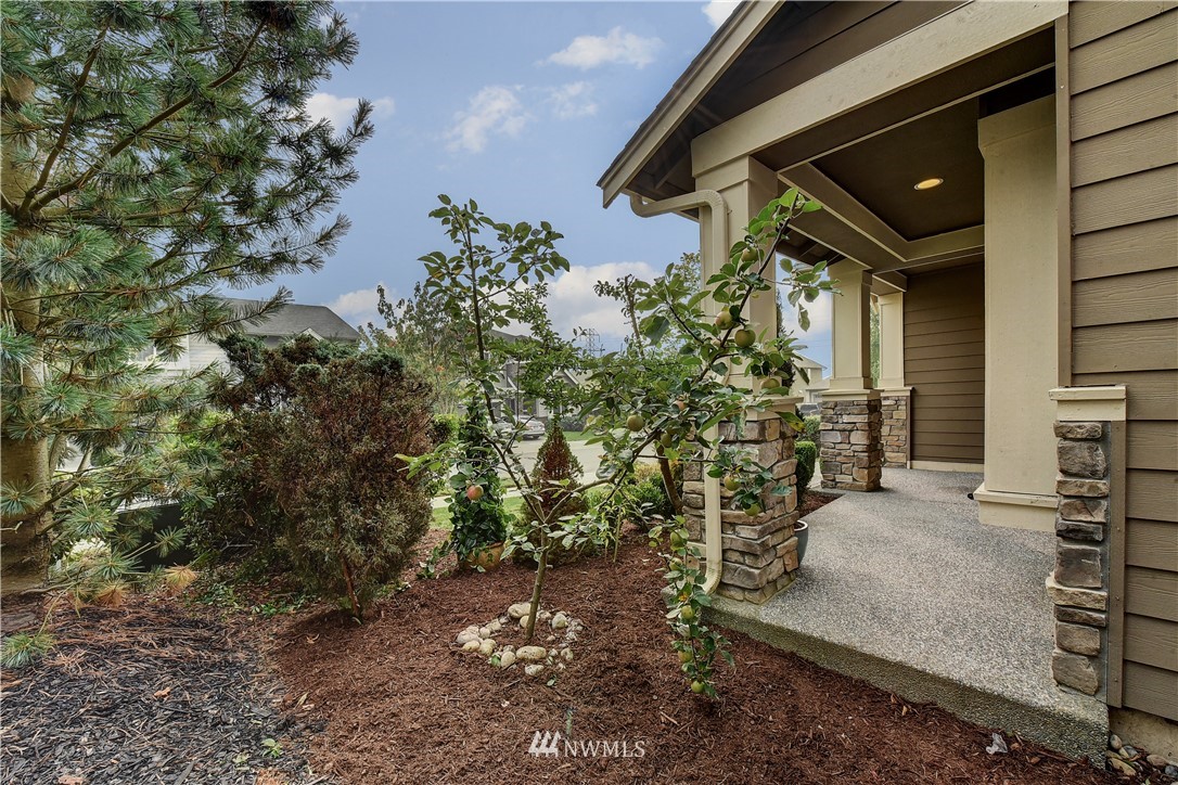 4321 229th Place Southeast Bothell, WA 98021 - Photo 31 of 31 a picture of a house with a tree