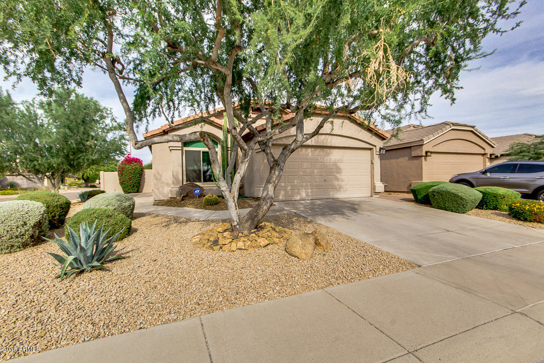 4806 East Mossman Road Phoenix, AZ 85054 - Photo 4 of 32 Front