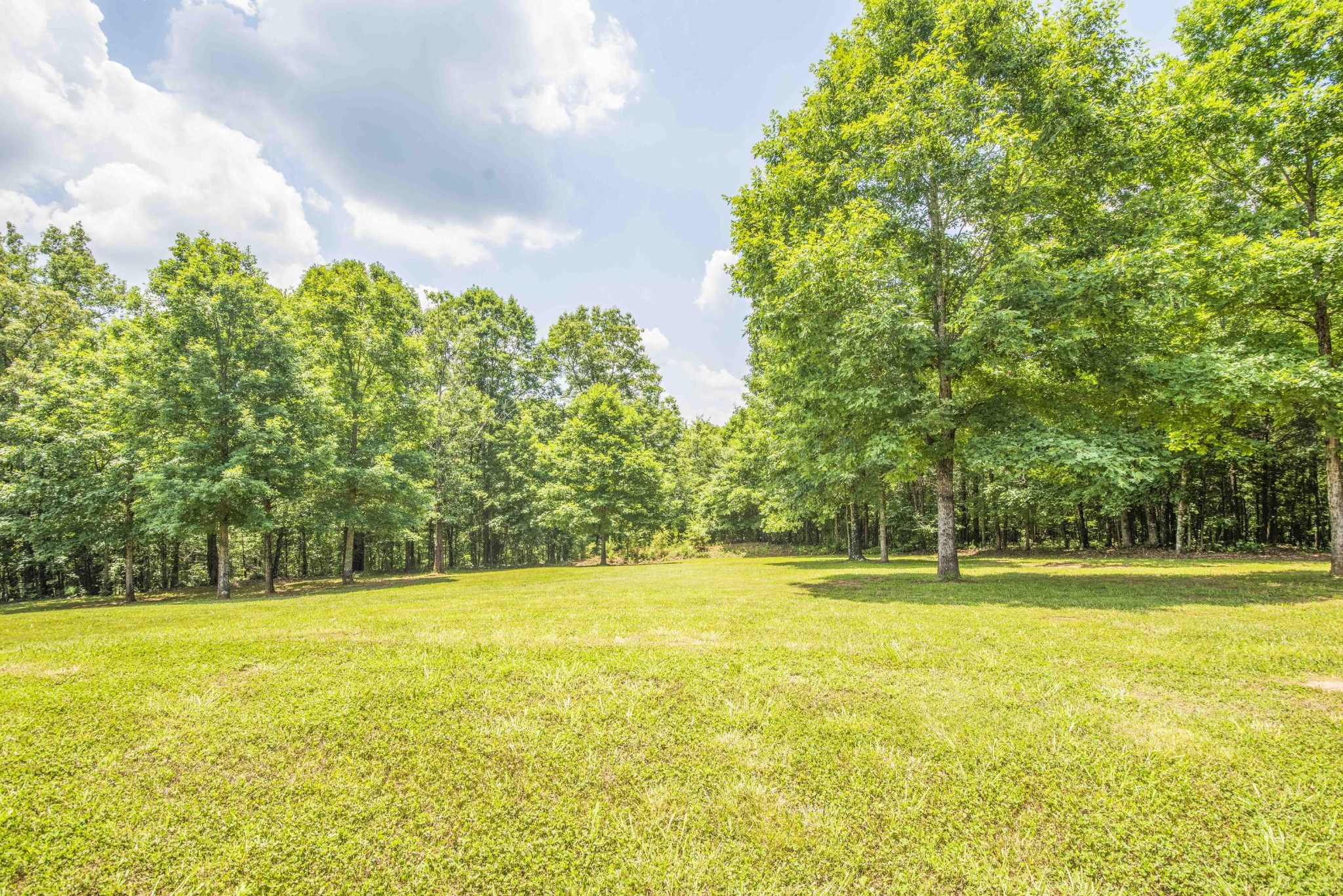 4520 Hall Road Loudon, TN 37774 - Photo 36 of 38 Gallery Image 36