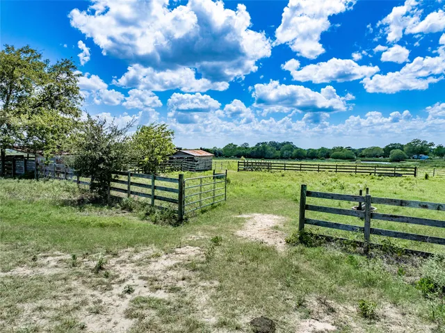 a view of a tree with a house in a yard