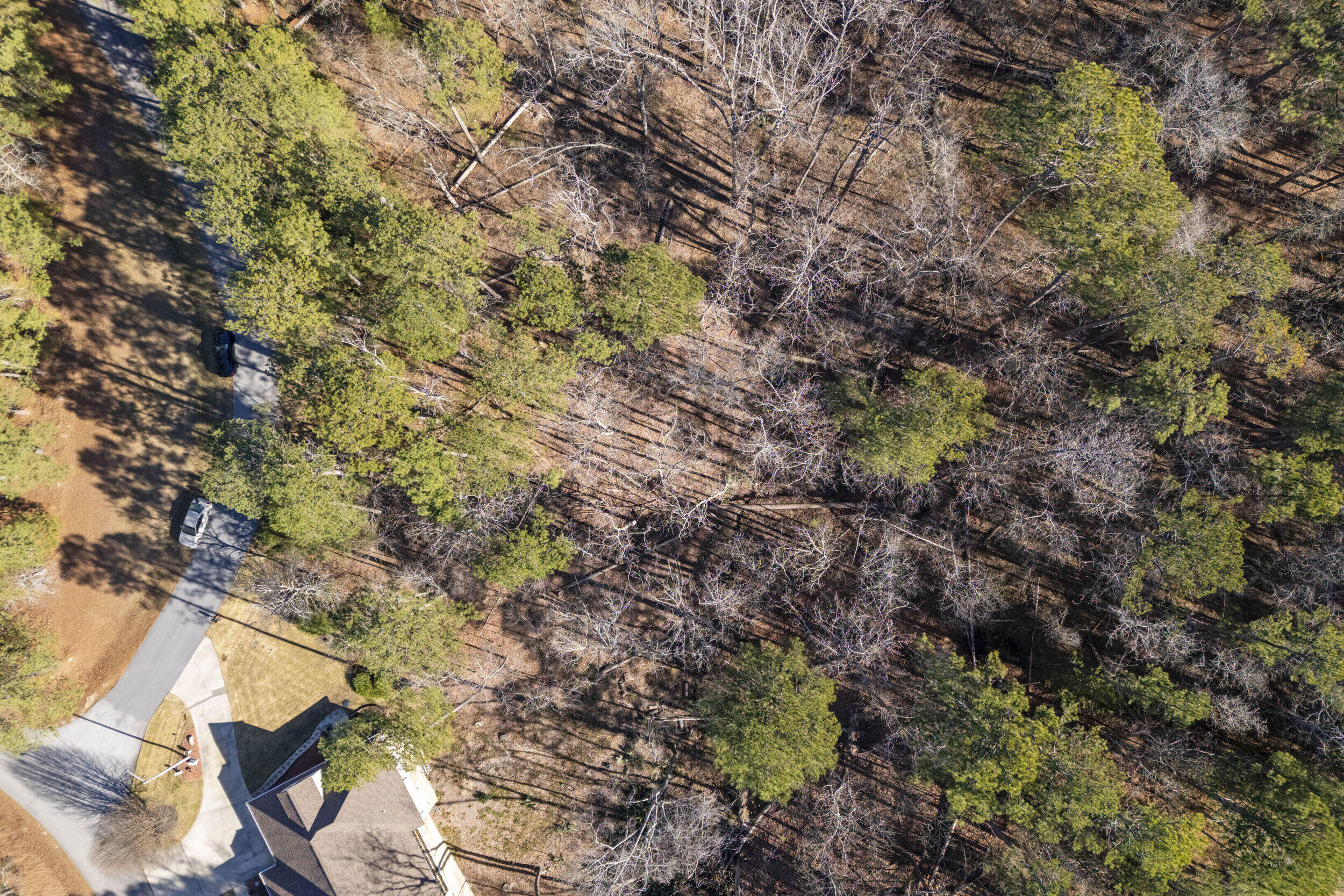 0 Butler Point McCormick, SC 29835 - Photo 4 of 9 2025-12-30_butler_pt-srm-07-drone