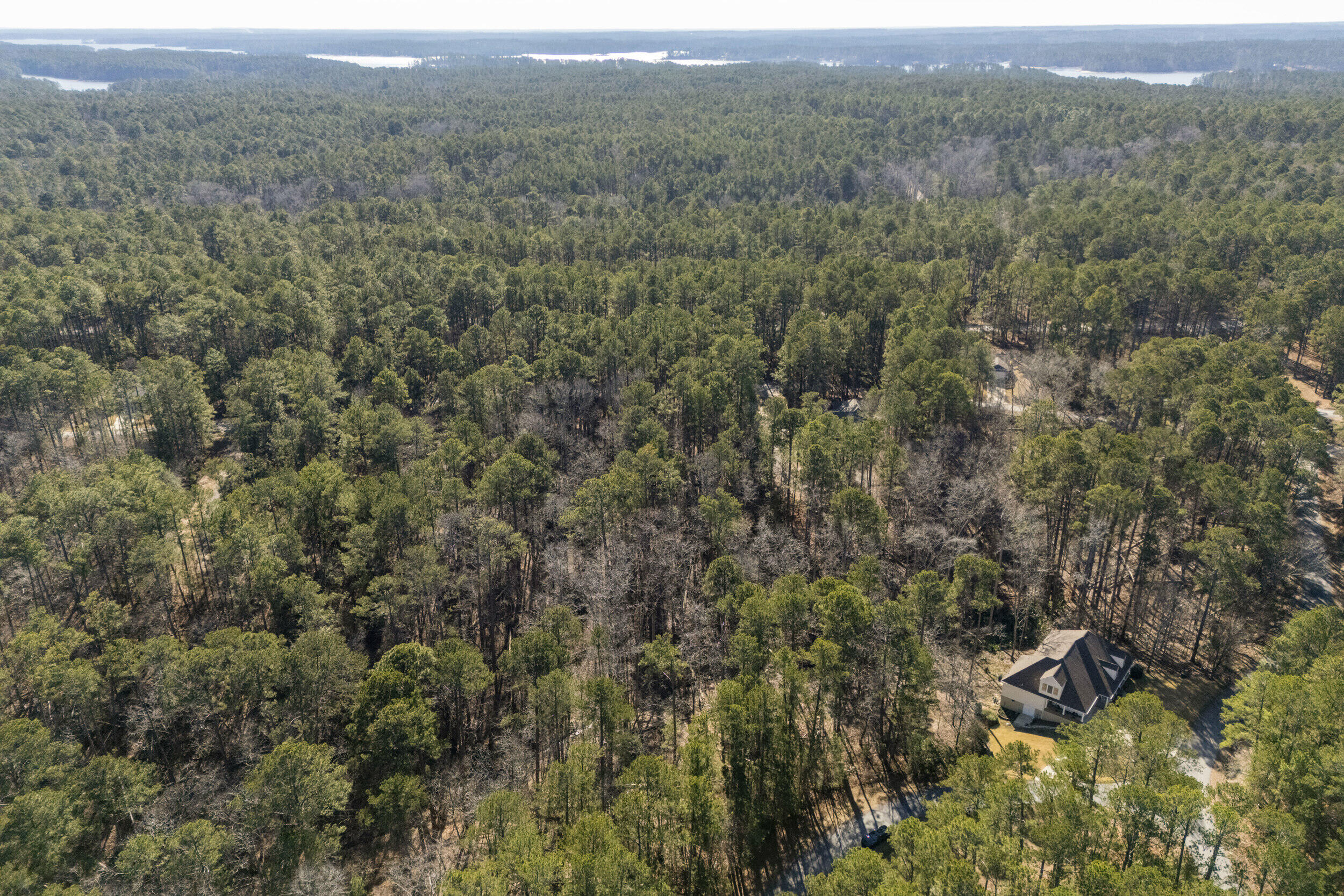 0 Butler Point McCormick, SC 29835 - Photo 5 of 8 2025-12-30_butler_pt-srm-04-drone