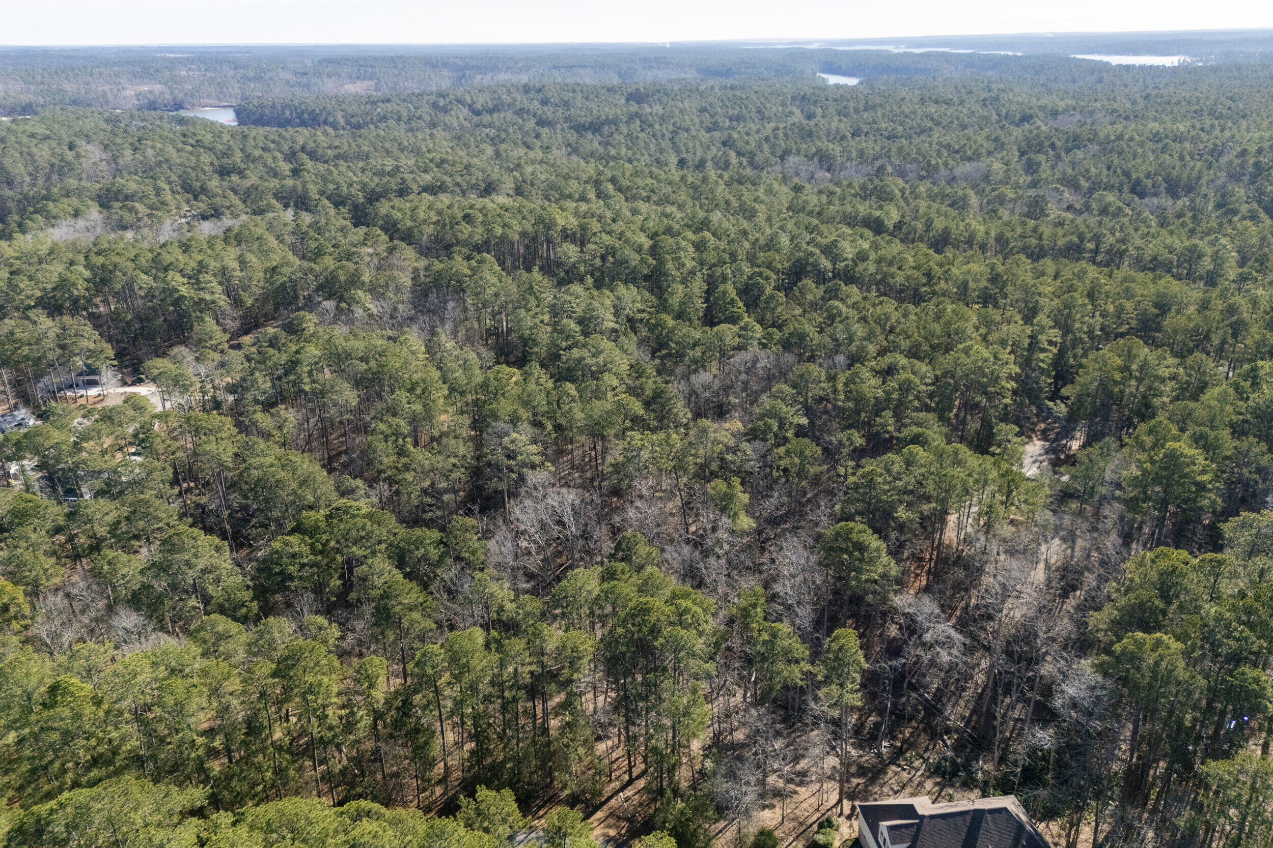 0 Butler Point McCormick, SC 29835 - Photo 7 of 9 2025-12-30_butler_pt-srm-03-drone