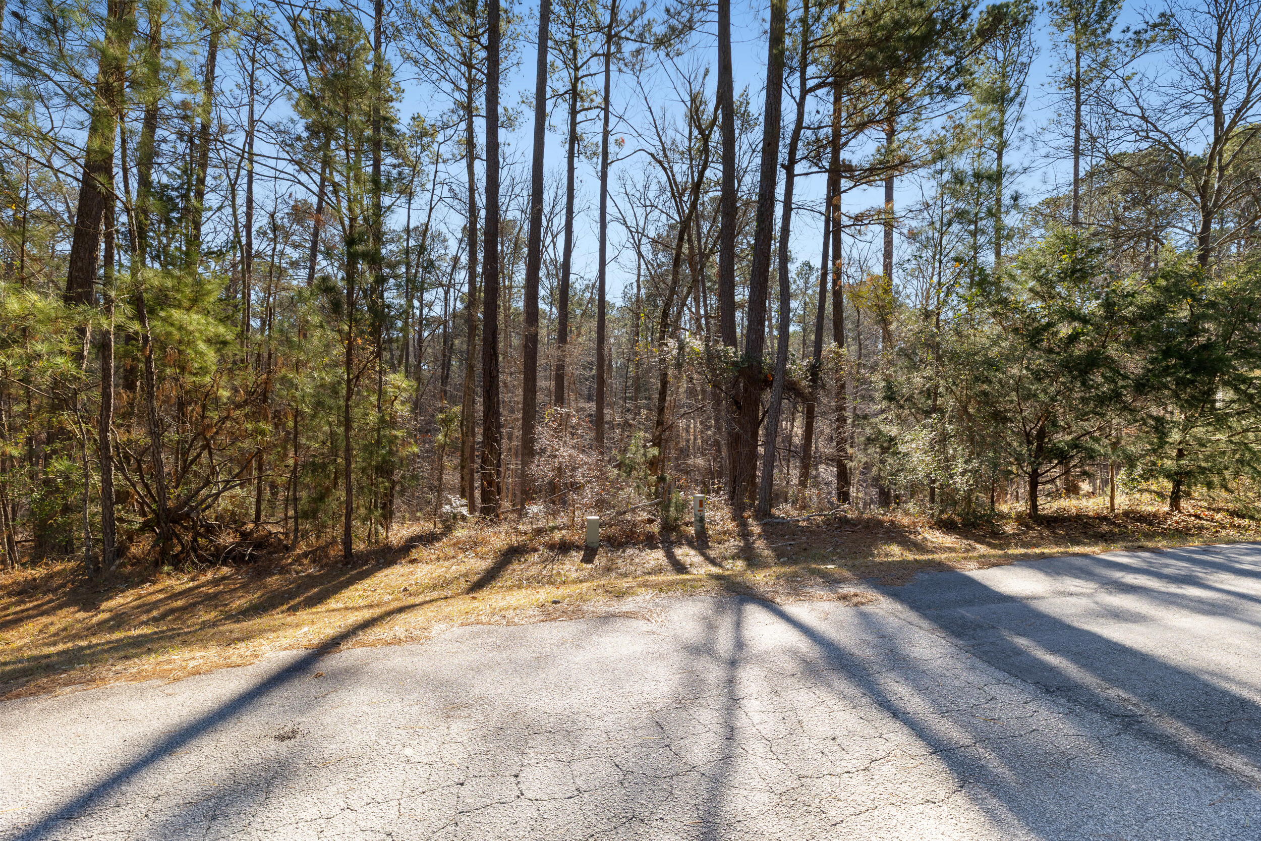 0 Butler Point McCormick, SC 29835 - Photo 7 of 8 2025-12-30_butler_pt-srm-02
