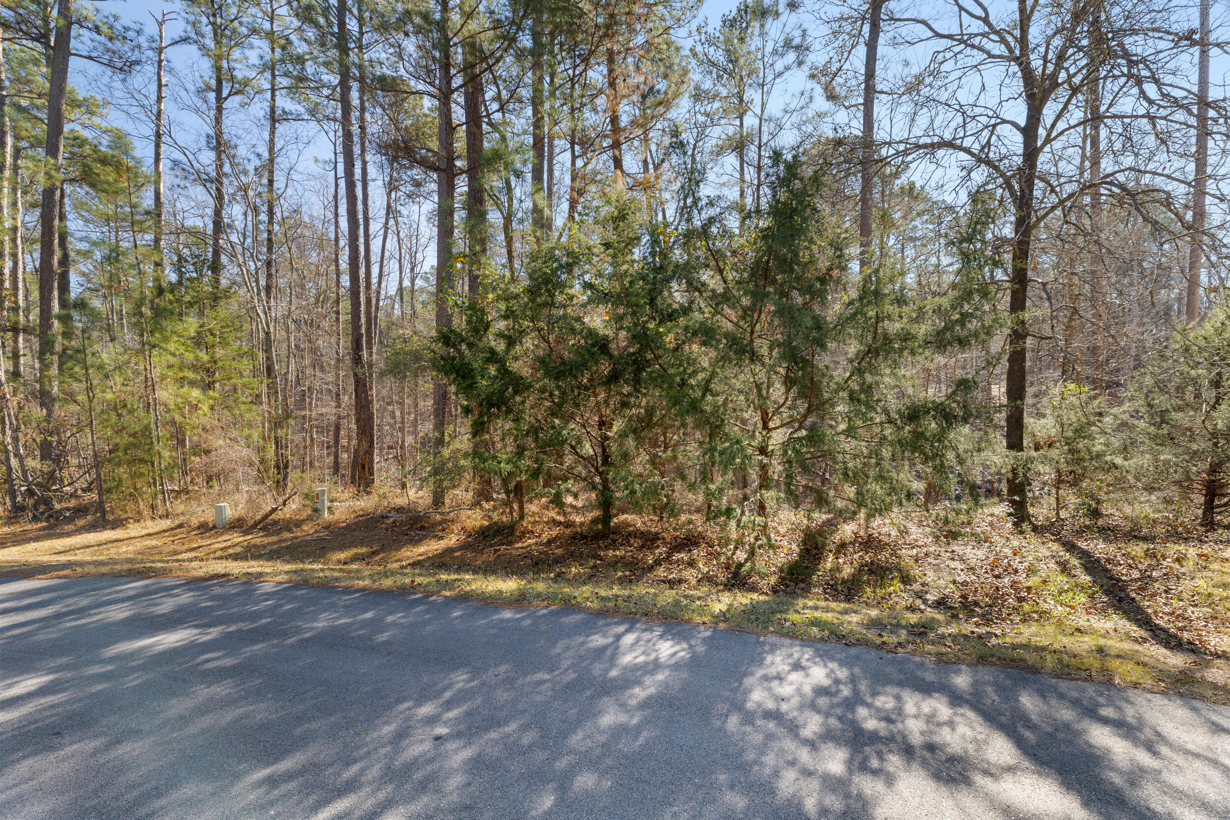 0 Butler Point McCormick, SC 29835 - Photo 8 of 8 2025-12-30_butler_pt-srm-01