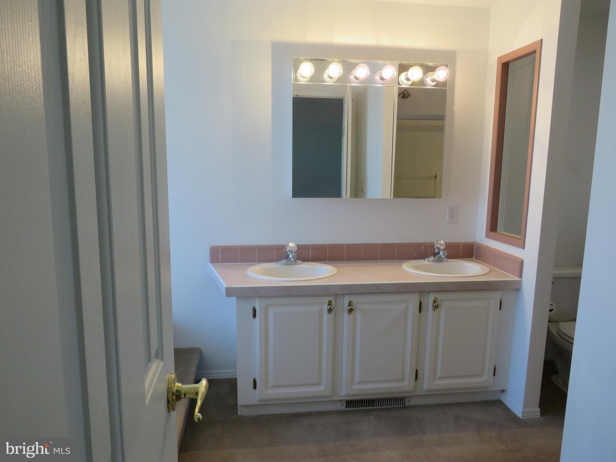 342 Spring Meadow Circle New Hope, PA 18938 - Photo 26 of 40 Primary Bathroom