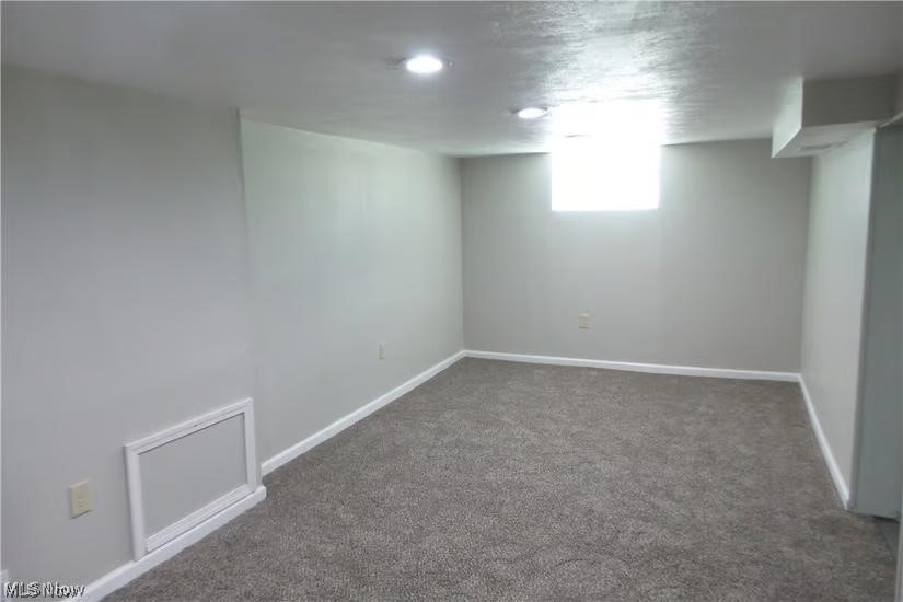 3808 Delmore Road Cleveland, OH 44121 - Photo 8 of 27 Basement with dark colored carpet