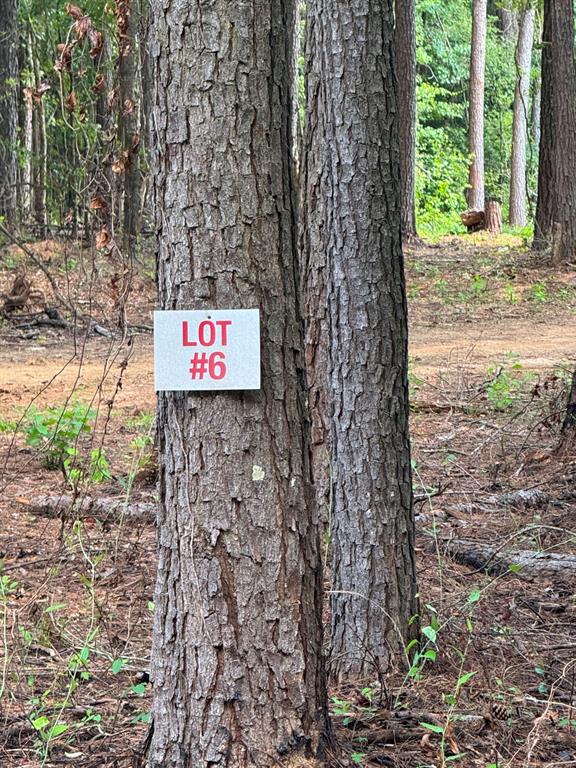 0 Oliver Road Haughton, LA 71037 - Photo 1 of 15 Gallery Image 1