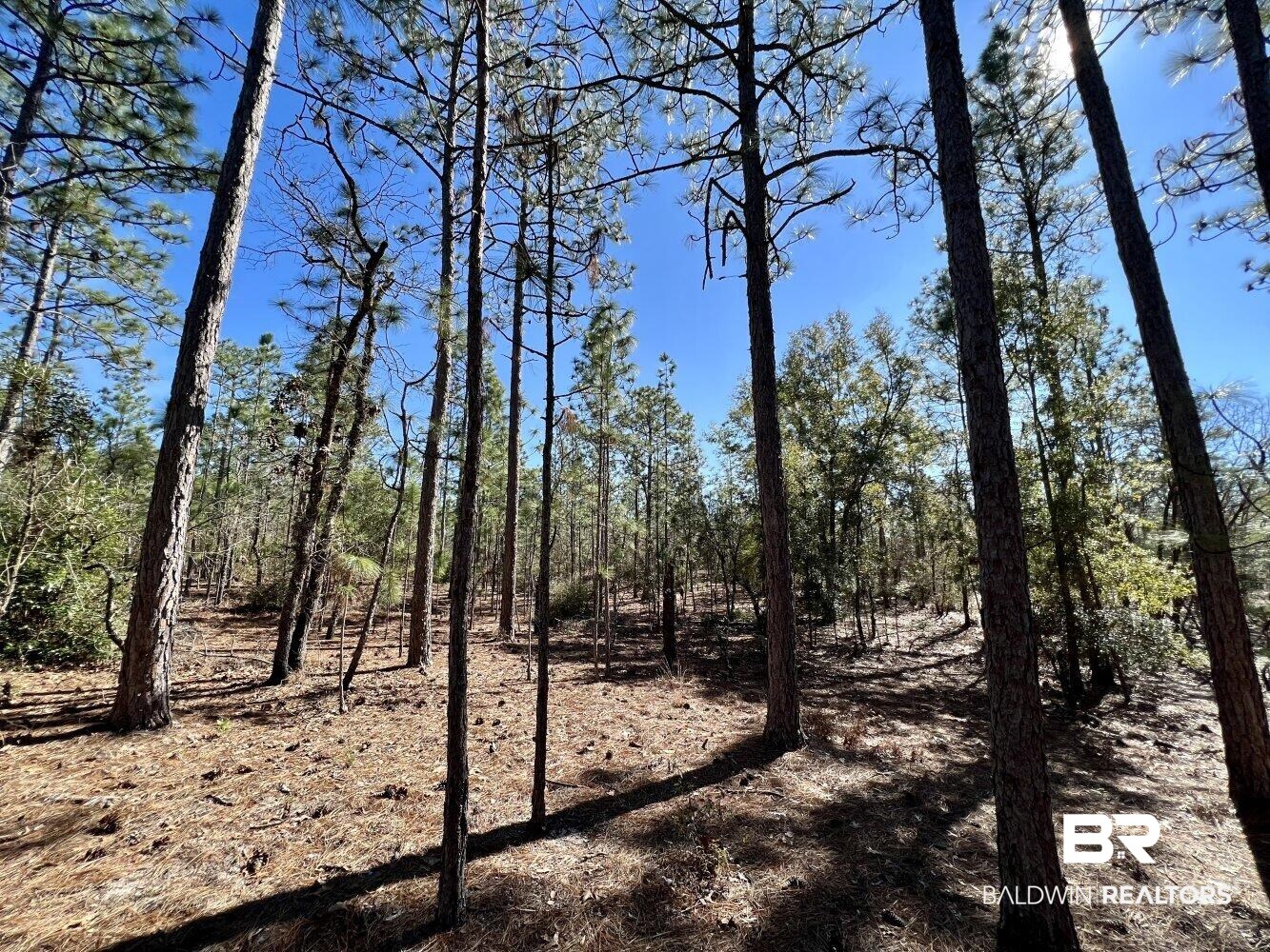 0 Dixon Road Bay Minette, AL 36507 - Photo 24 of 50