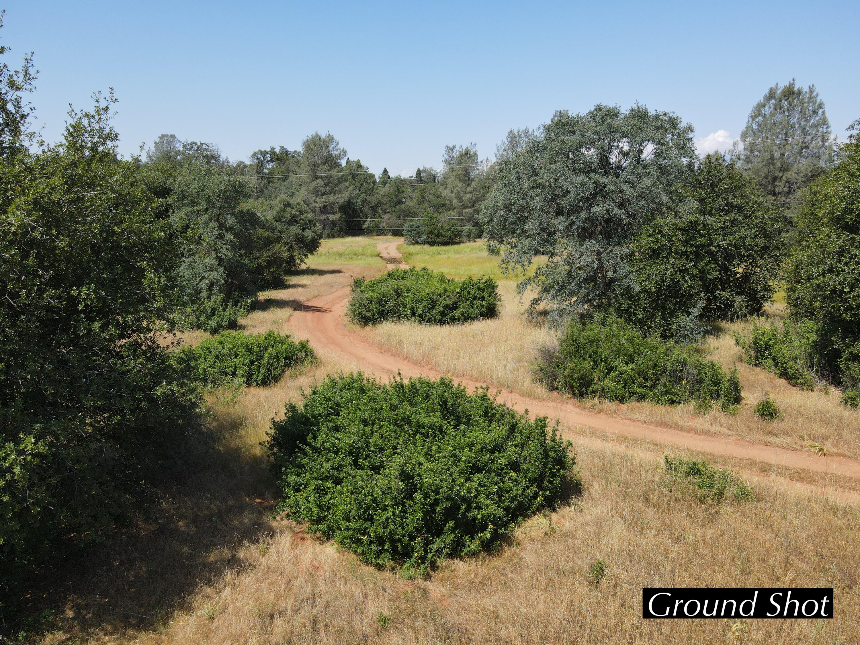 4655 Goodwater Avenue Redding, CA 96002 - Photo 12 of 13 a view of a park with pathway