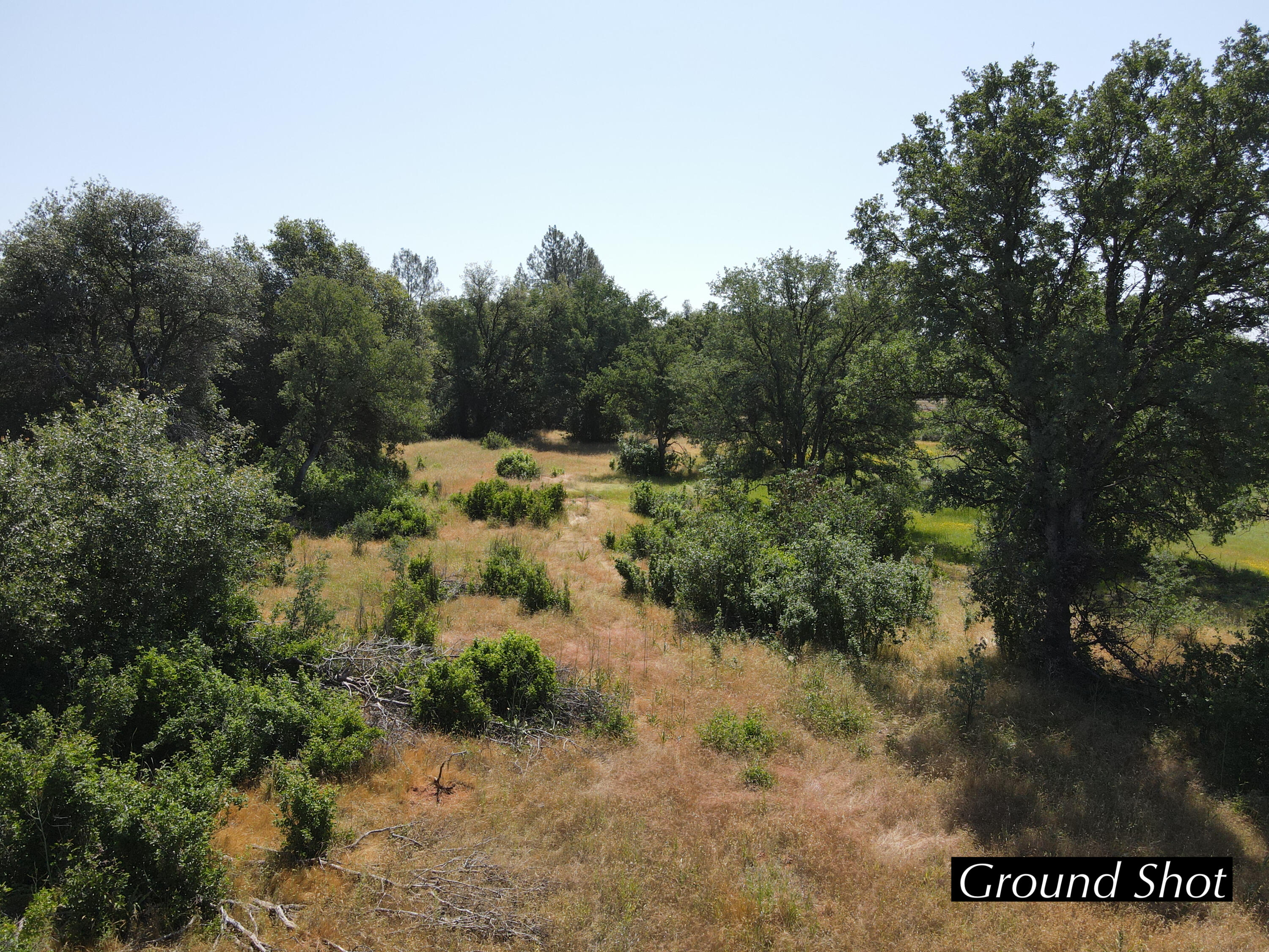 4655 Goodwater Avenue Redding, CA 96002 - Photo 13 of 13 a view of a forest with trees in the background