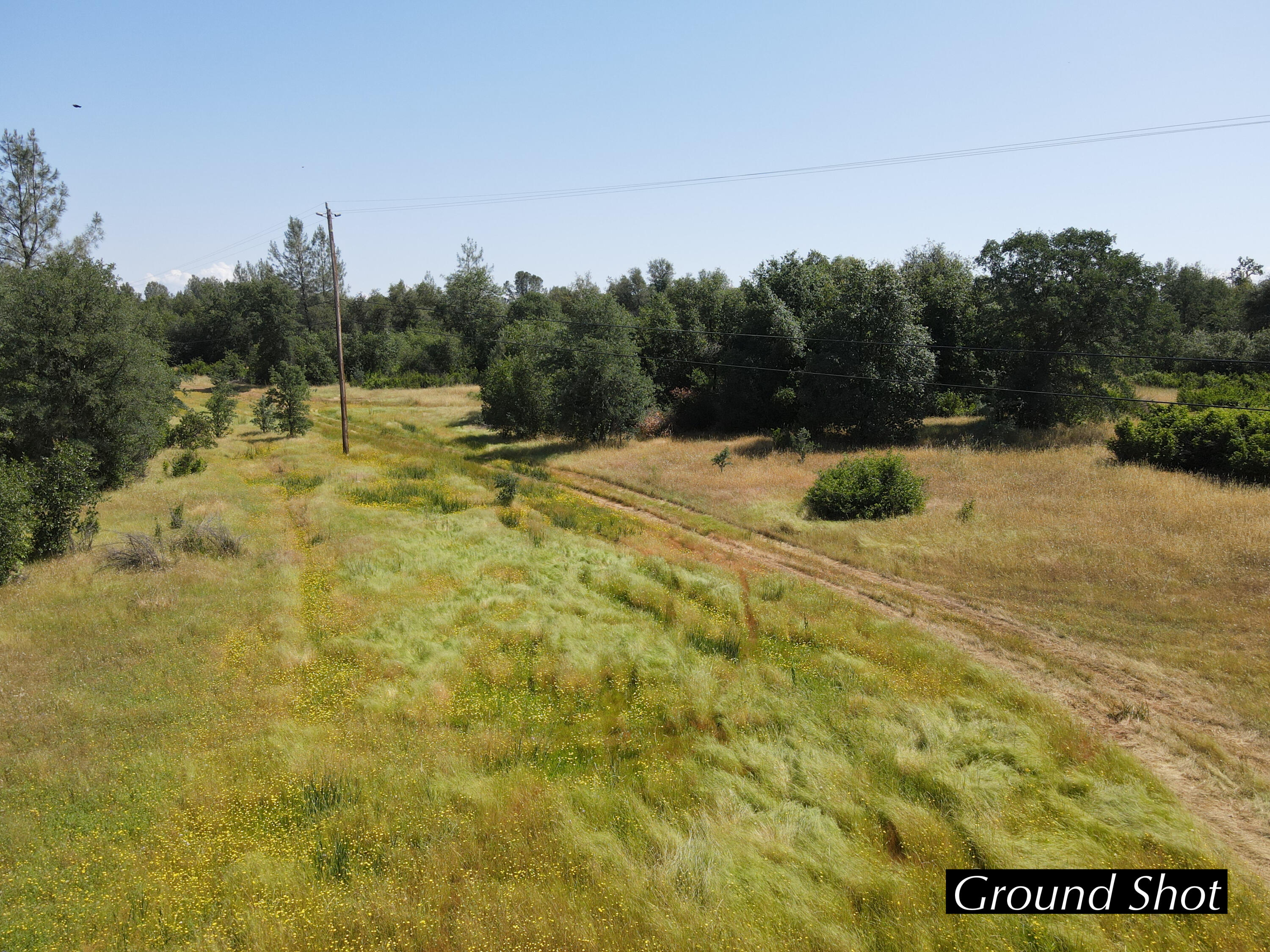 4655 Goodwater Avenue Redding, CA 96002 - Photo 3 of 13