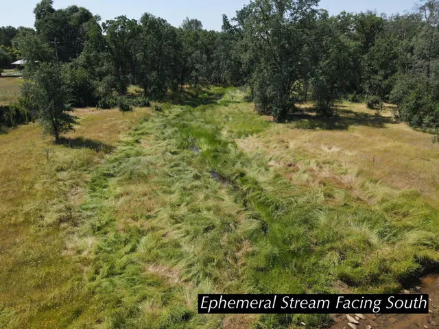 a view of a forest with a forest