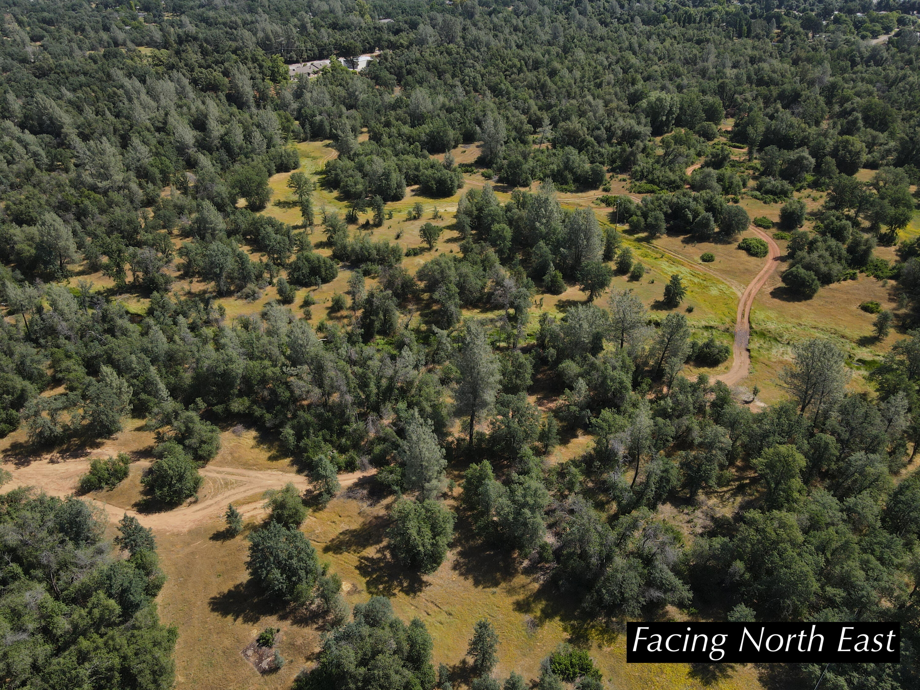 4655 Goodwater Avenue Redding, CA 96002 - Photo 7 of 13 a view of a forest with a forest