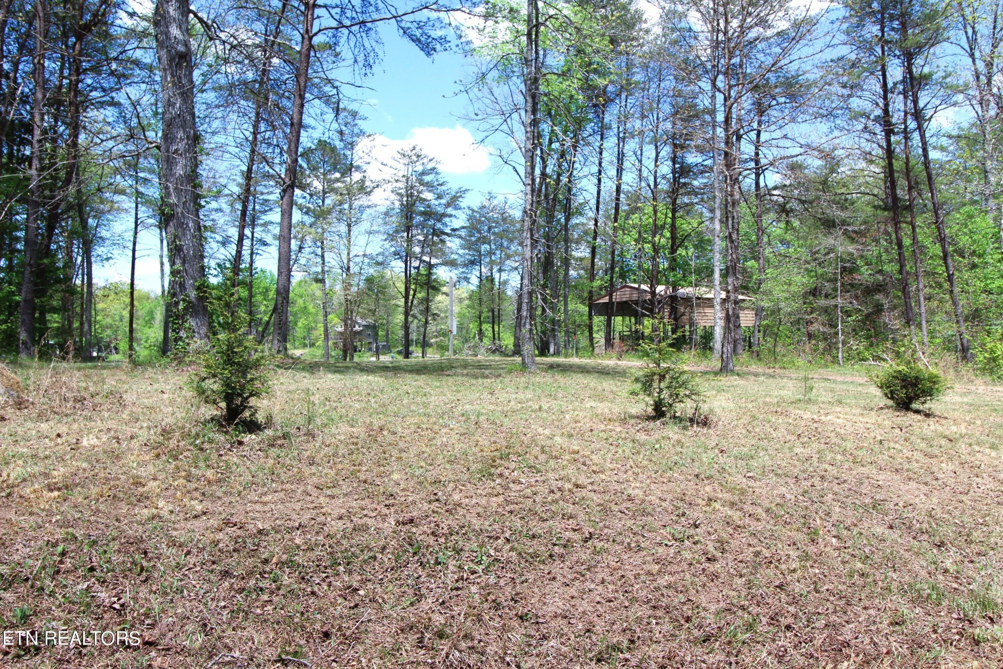165 Cherokee Road Crossville, TN 38572 - Photo 12 of 12